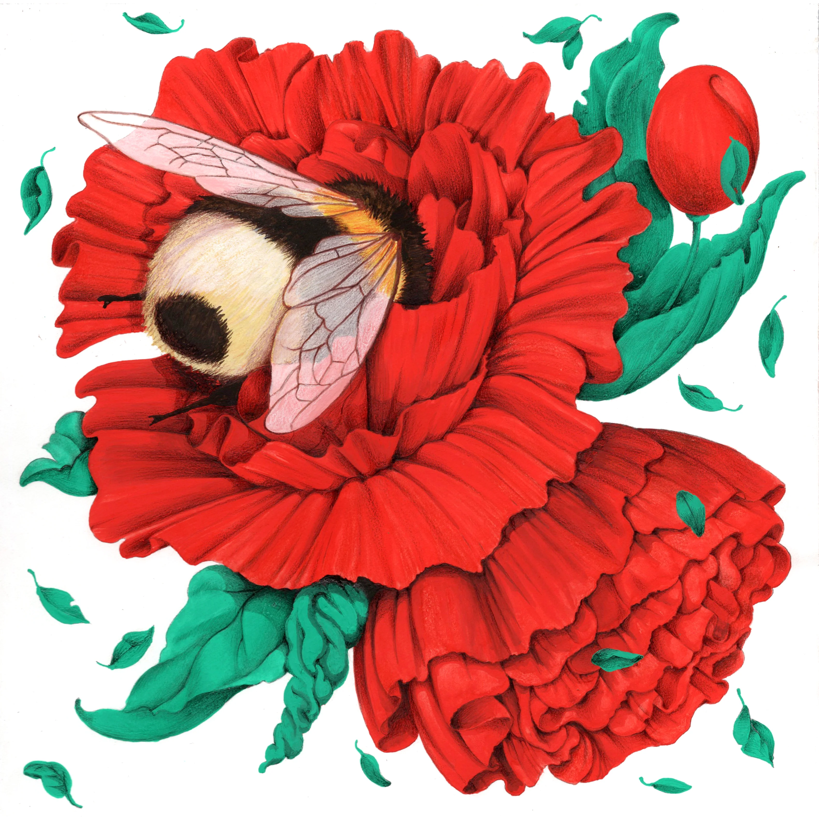Cassia Lupo - "Bee Butt & Blossoms" Art Print