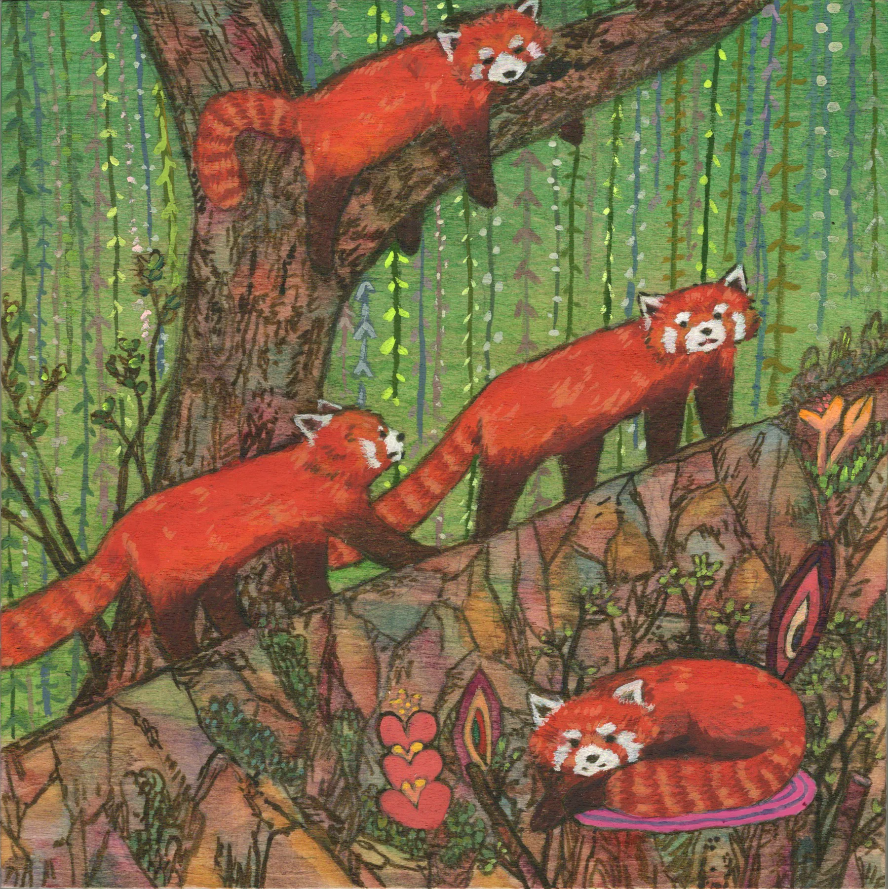 ANIMALS - #137 - Jen Tong - "Red Pandas"