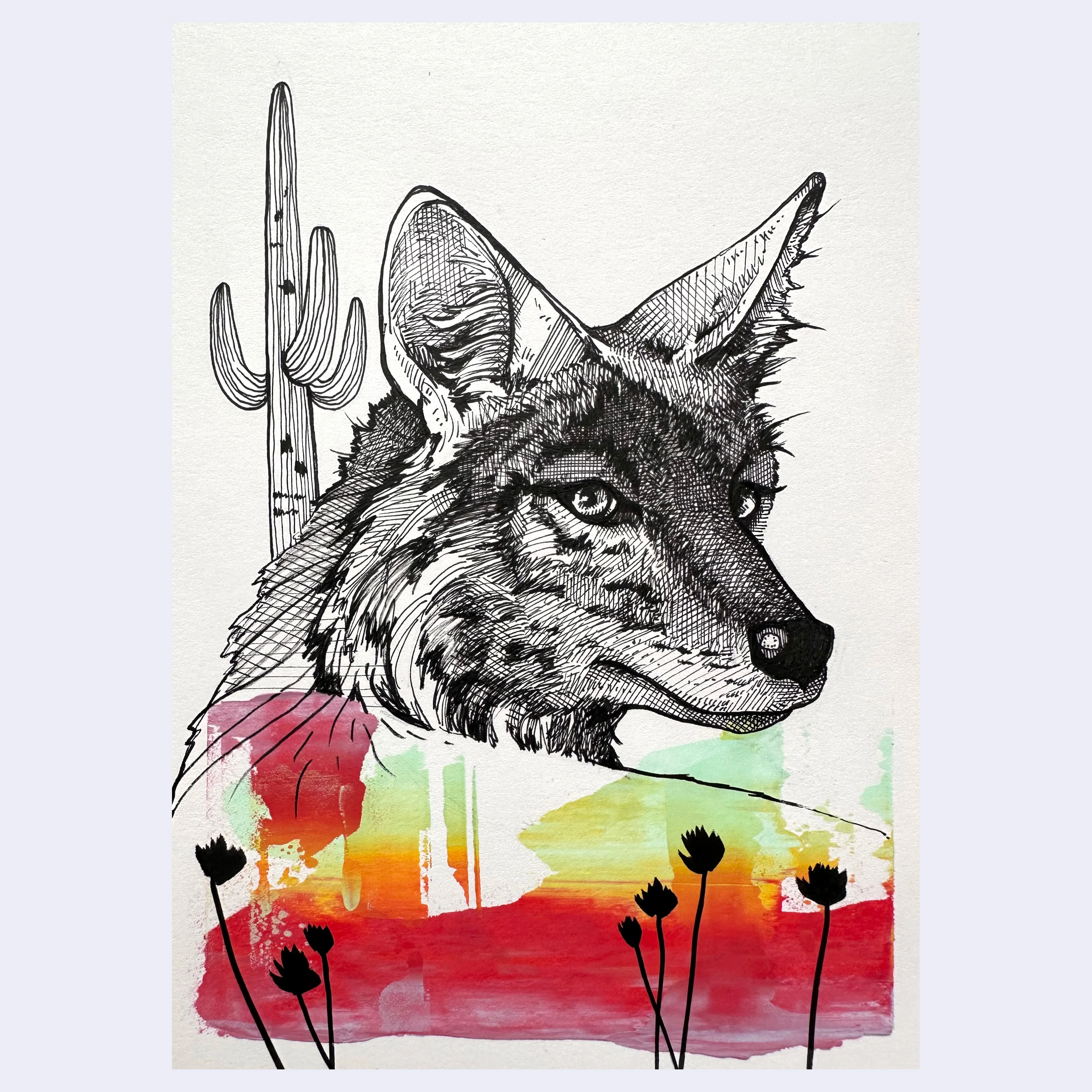 ANIMALS - #151 - Jenna Gibson - "Coyote Sunrise"
