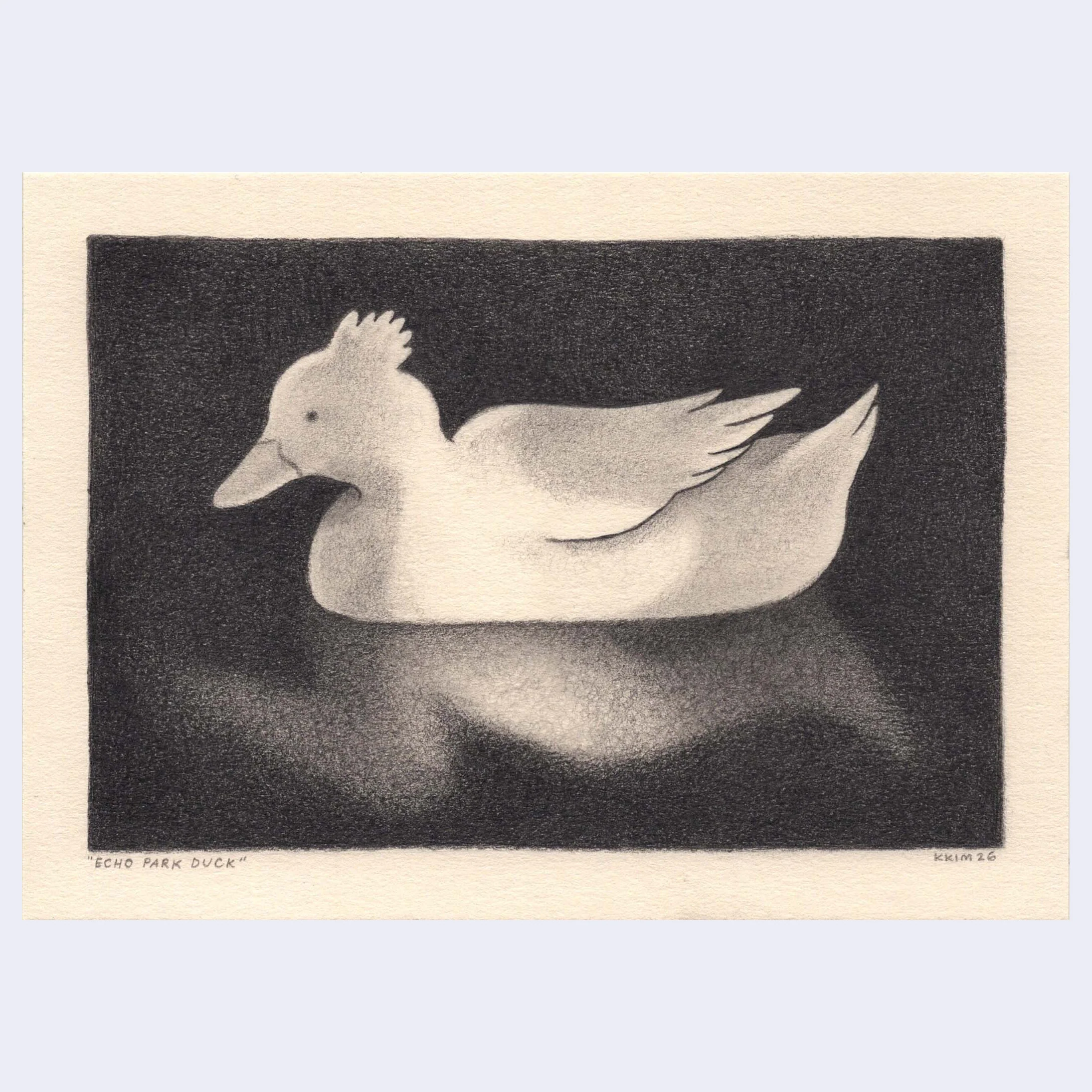 ANIMALS - #112 - Kaylynn Kim - "Echo Park Duck"