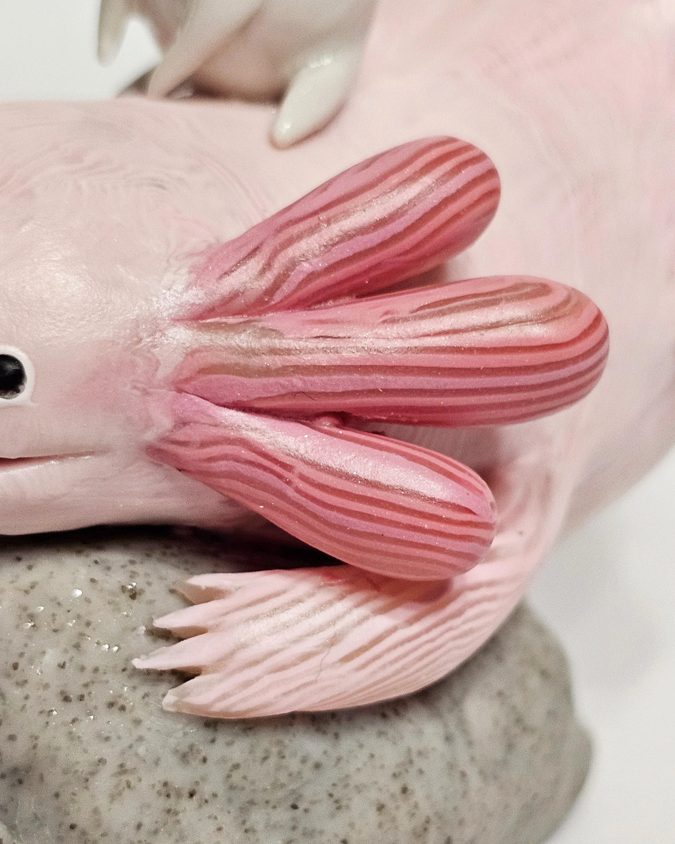 ANIMALS - #44 - Sun-Mo Koo - "Axolotl & Egglet" - Image 3