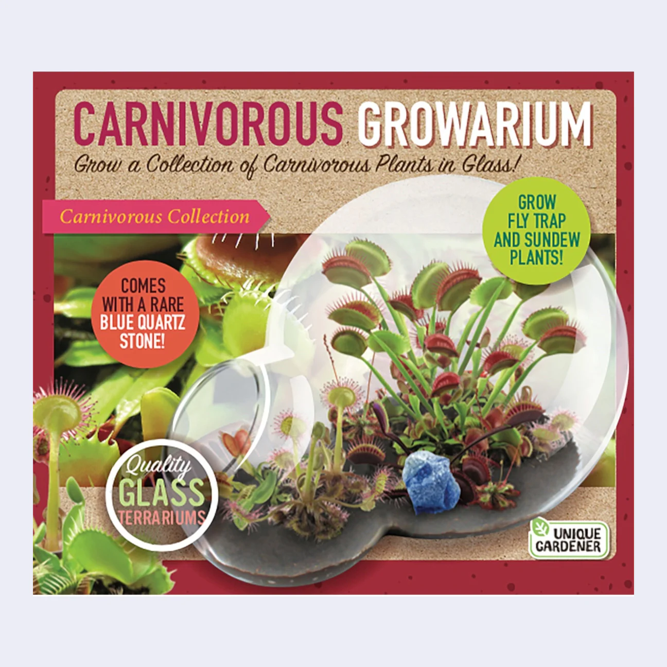 Carnivorous Growarium Glass Terrarium