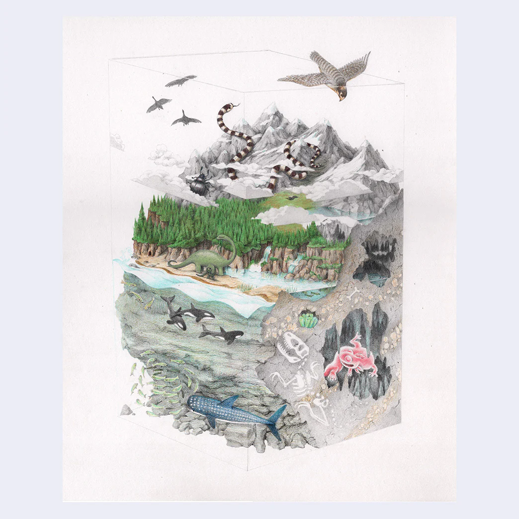 Cassia Lupo - "Earth-Slice Doolally" Art Print