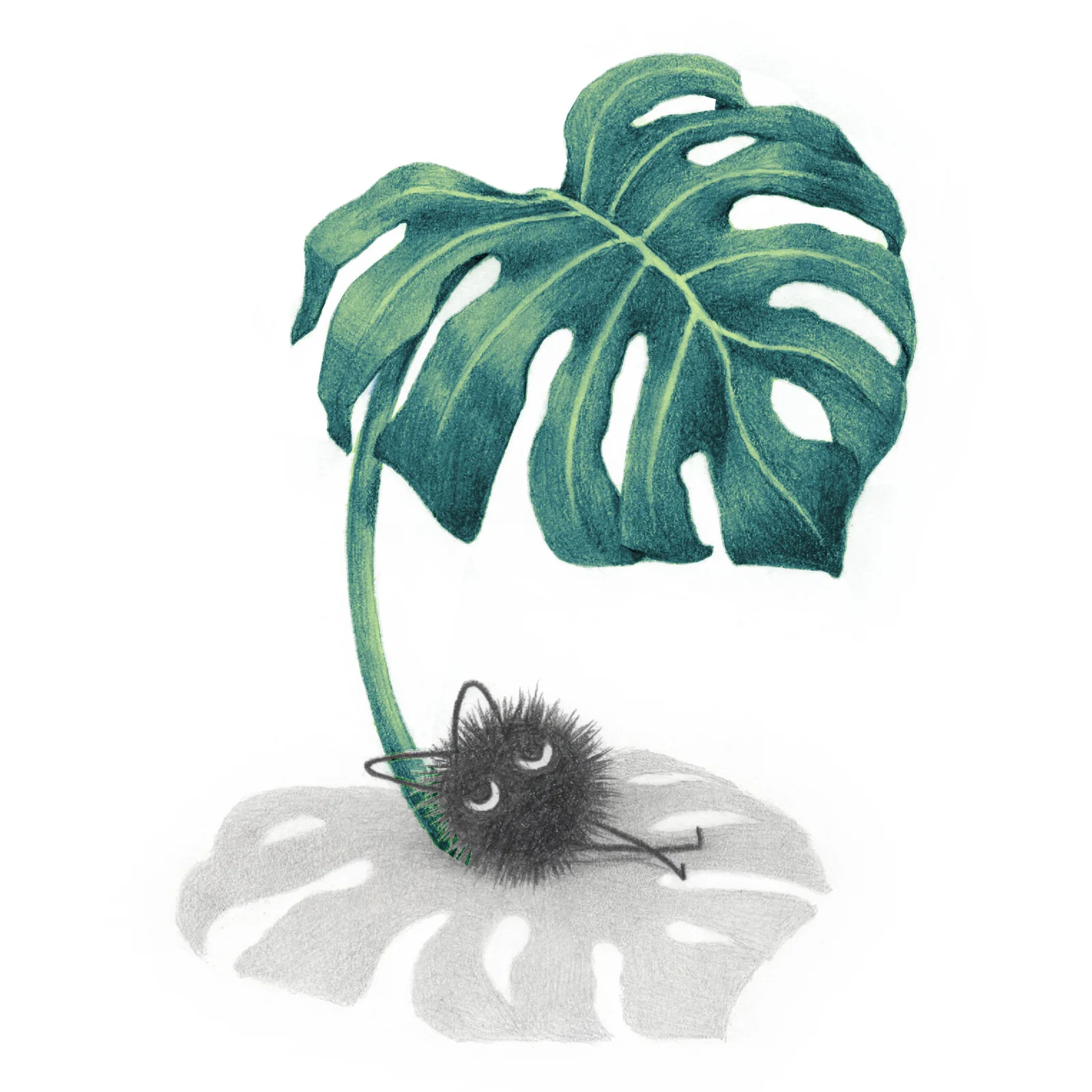Cassia Lupo - "Shady Sprite" print