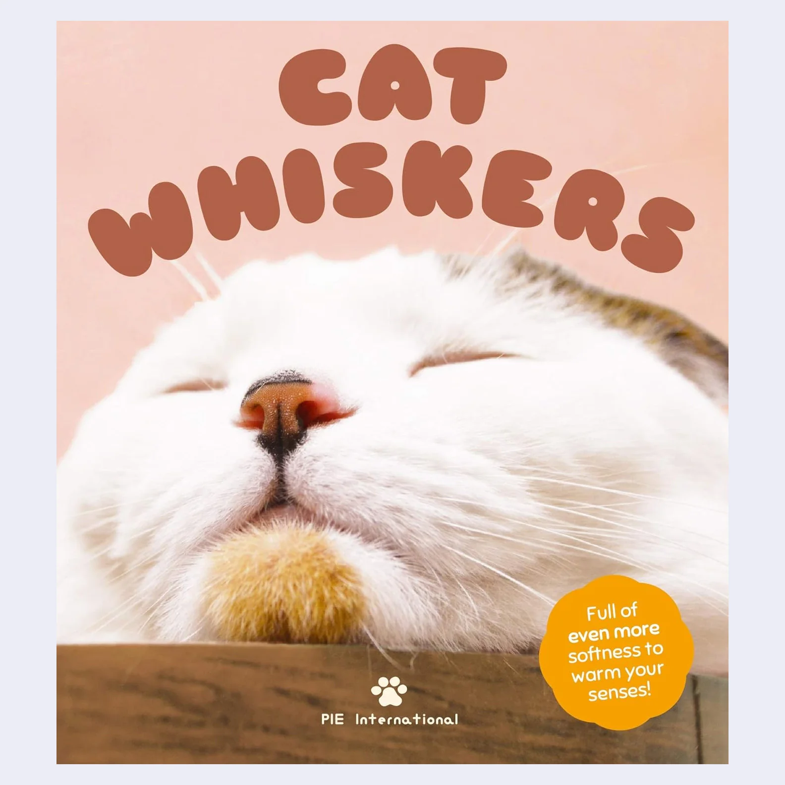 Cat Whiskers