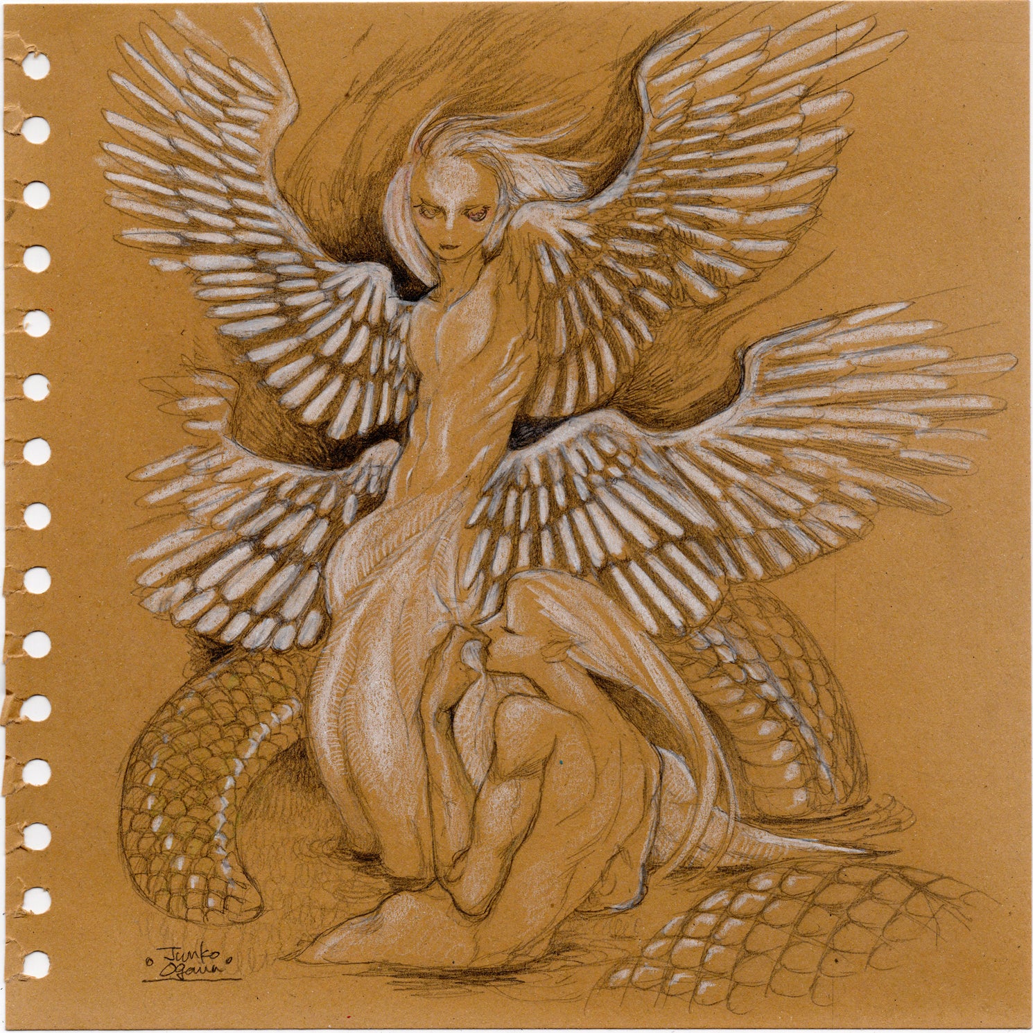 Convergence - #07 - Junko Ogawa - "Bird and Snake"