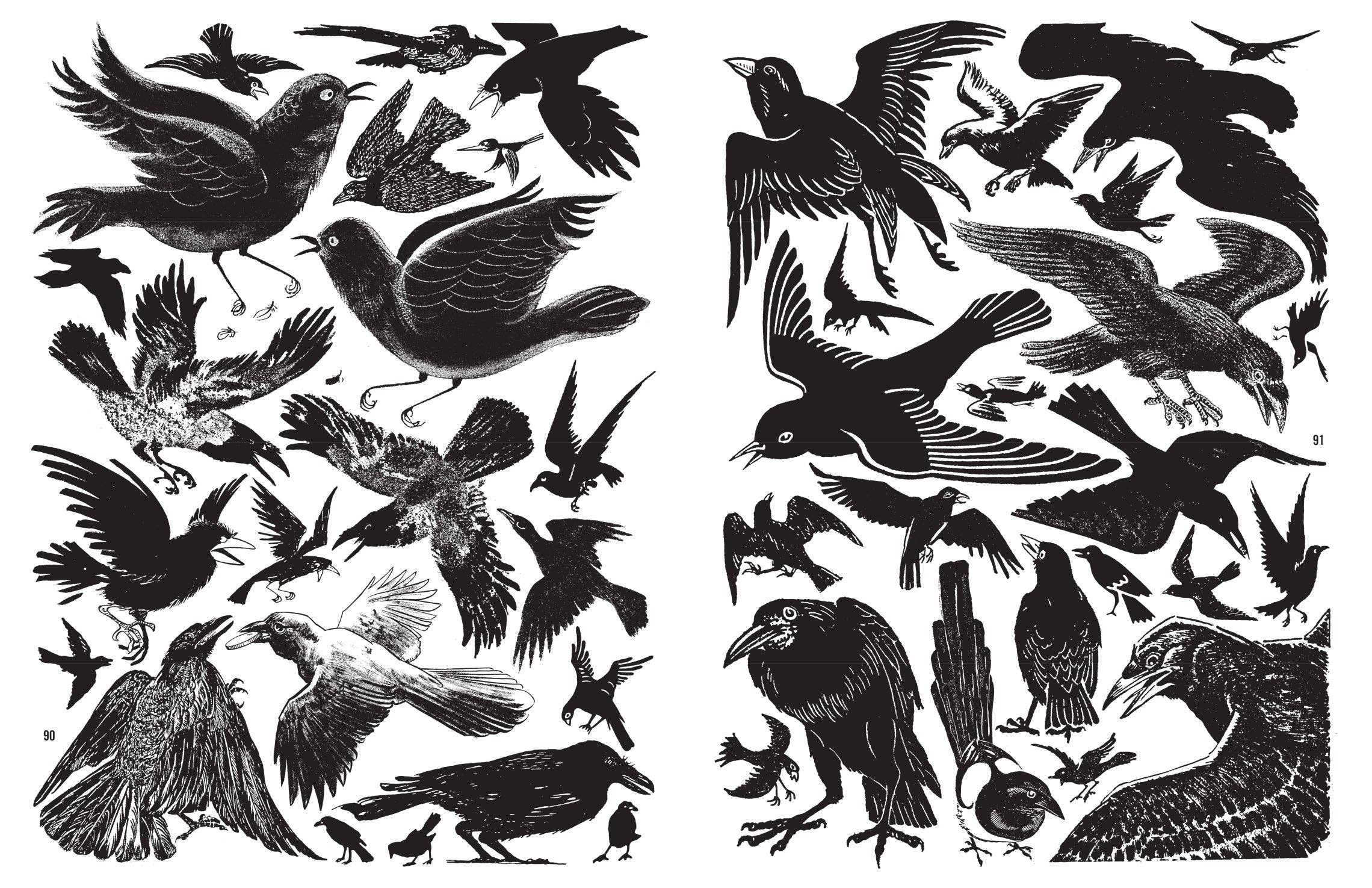 Crap Hound - Owls and Crows Zine - Image 10
