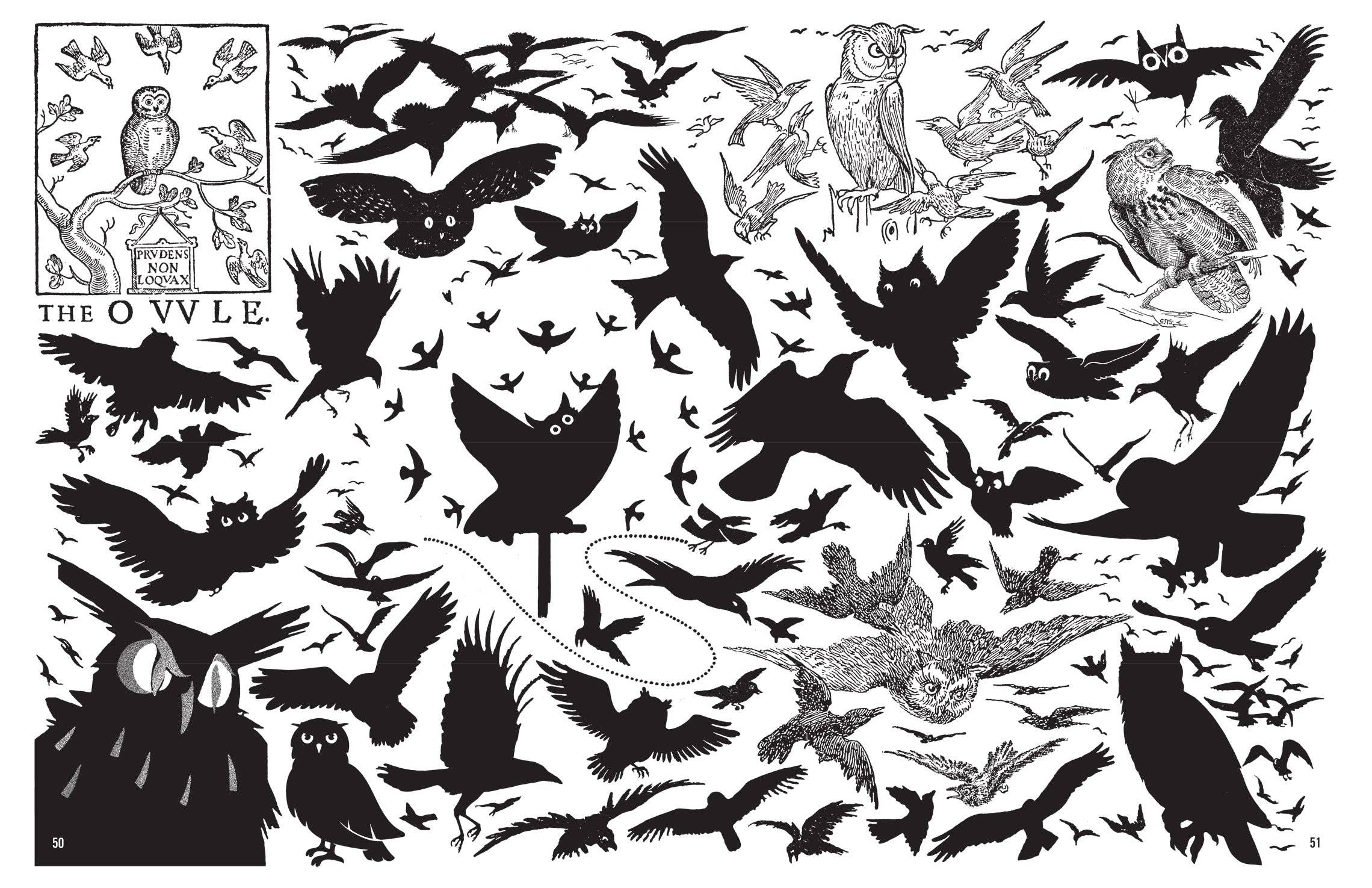 Crap Hound - Owls and Crows Zine - Image 7