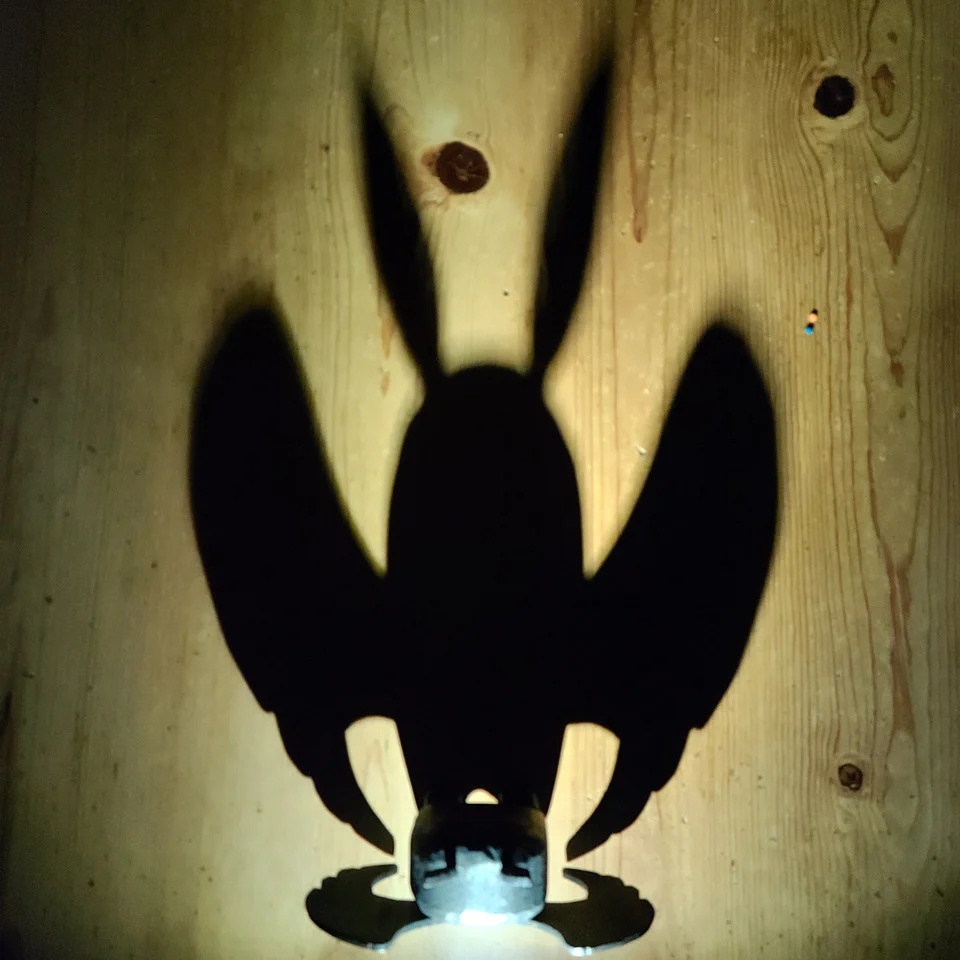 Creatures of Flight - Lap Ngo - "Greetings From Point Pleasant, WV" - Image 4