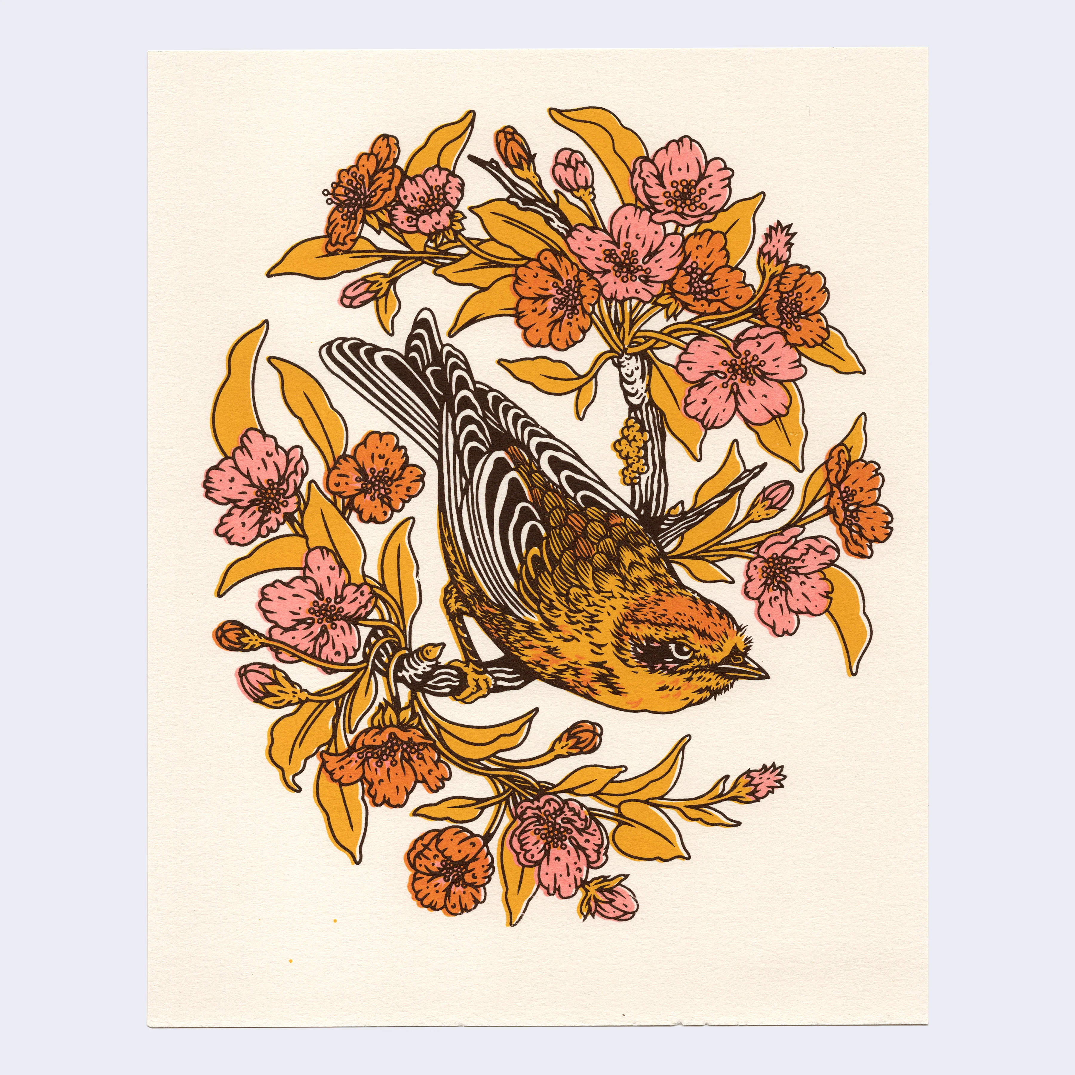 Deep Forest 2022 - Elizabeth Jean Younce (Mustard Beetle) - "Palm Warbler & Plum Blossoms"