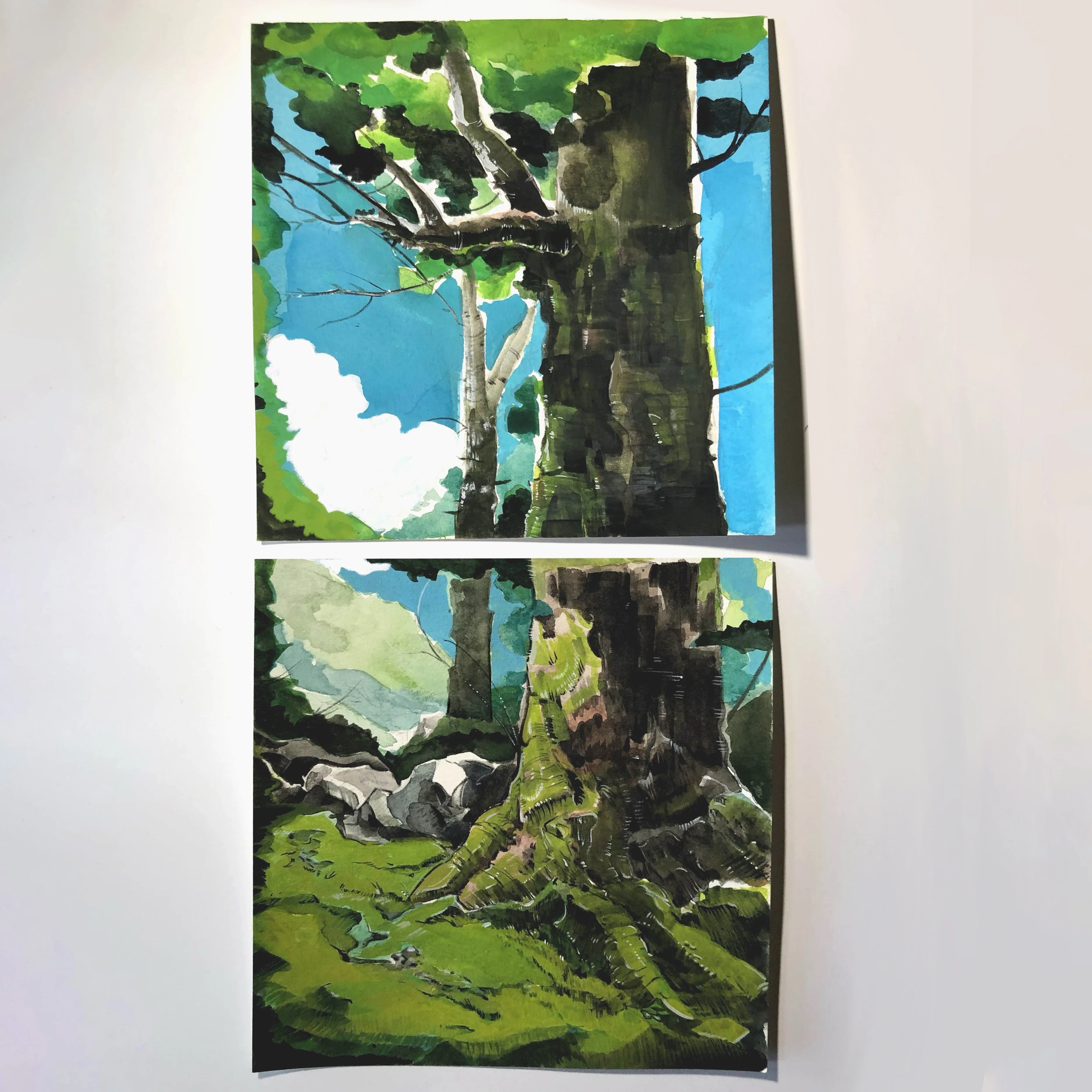 Deep Forest 2024 - Dylan Griffin - “Forest Diptych"