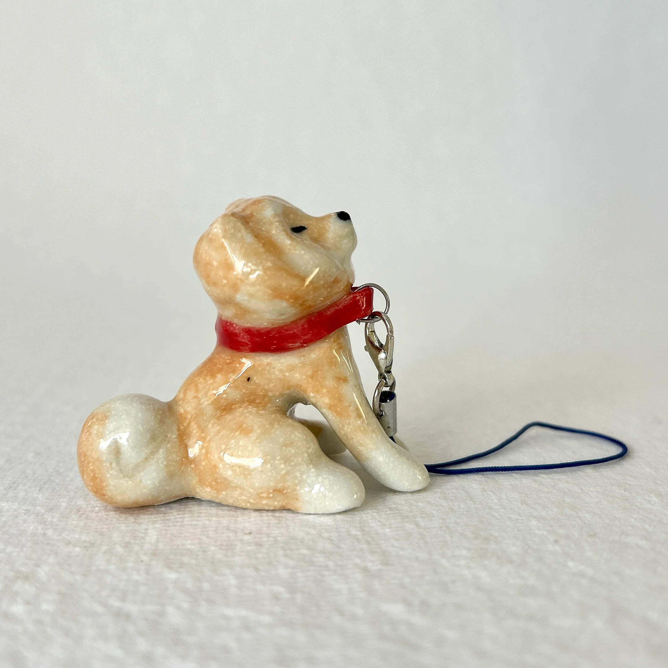Doggo Show 2025 - Cynara Akemi Mori - "Shiba Won't Walk"