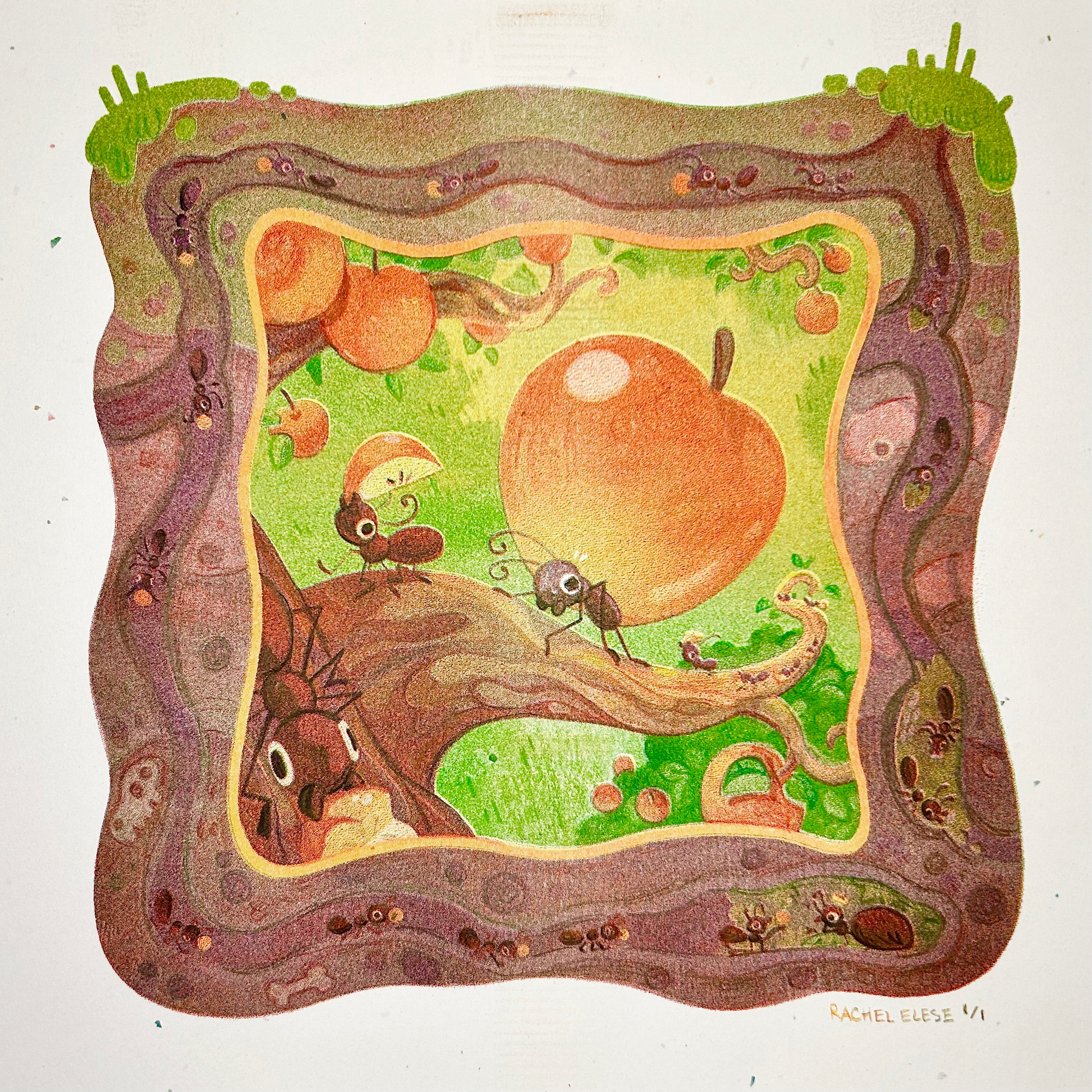 Fruits & Veggies Show 2025 - Rachel Elese - "An Ant's Apple" Risograph