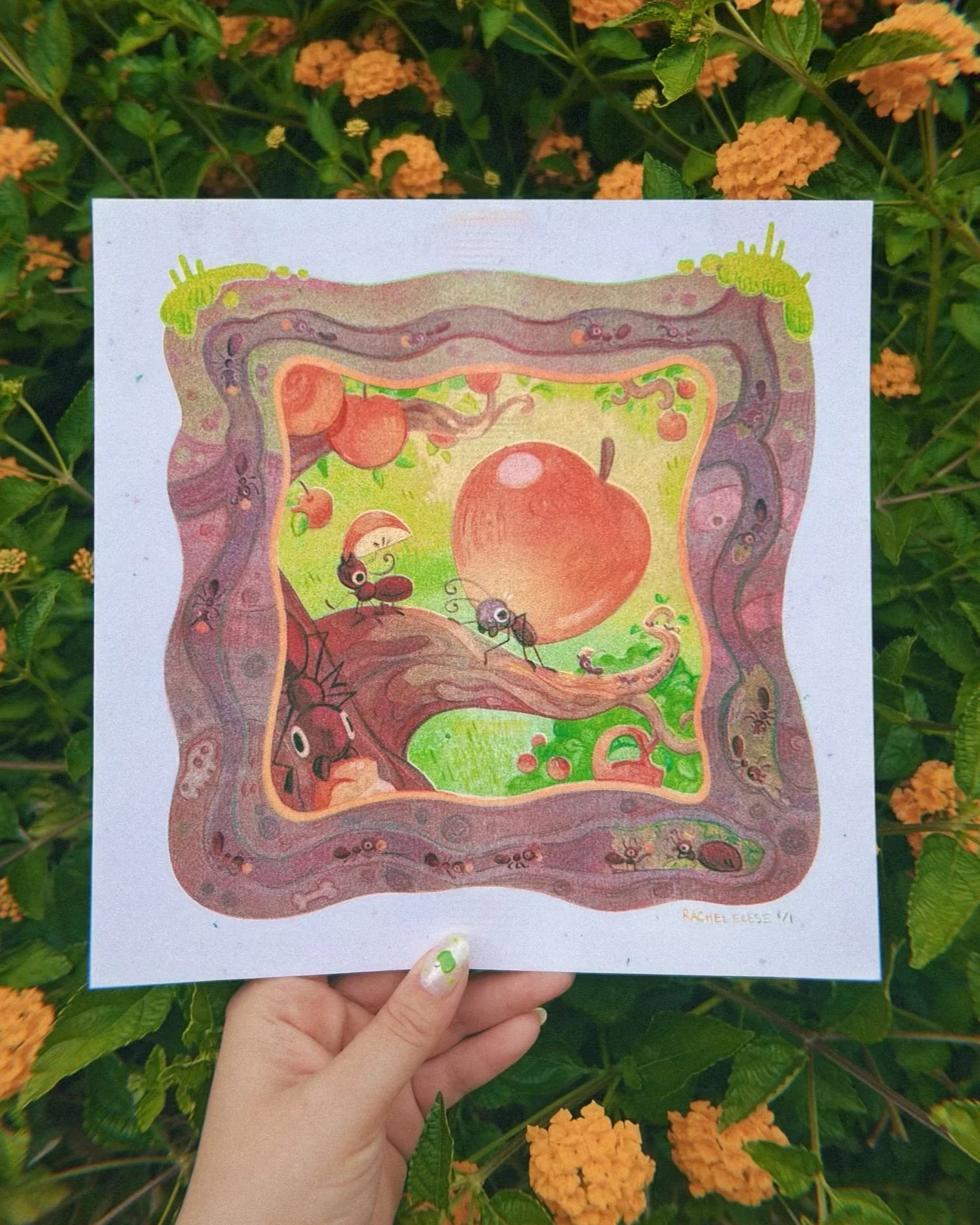 Fruits & Veggies Show 2025 - Rachel Elese - "An Ant's Apple" Risograph - Image 2