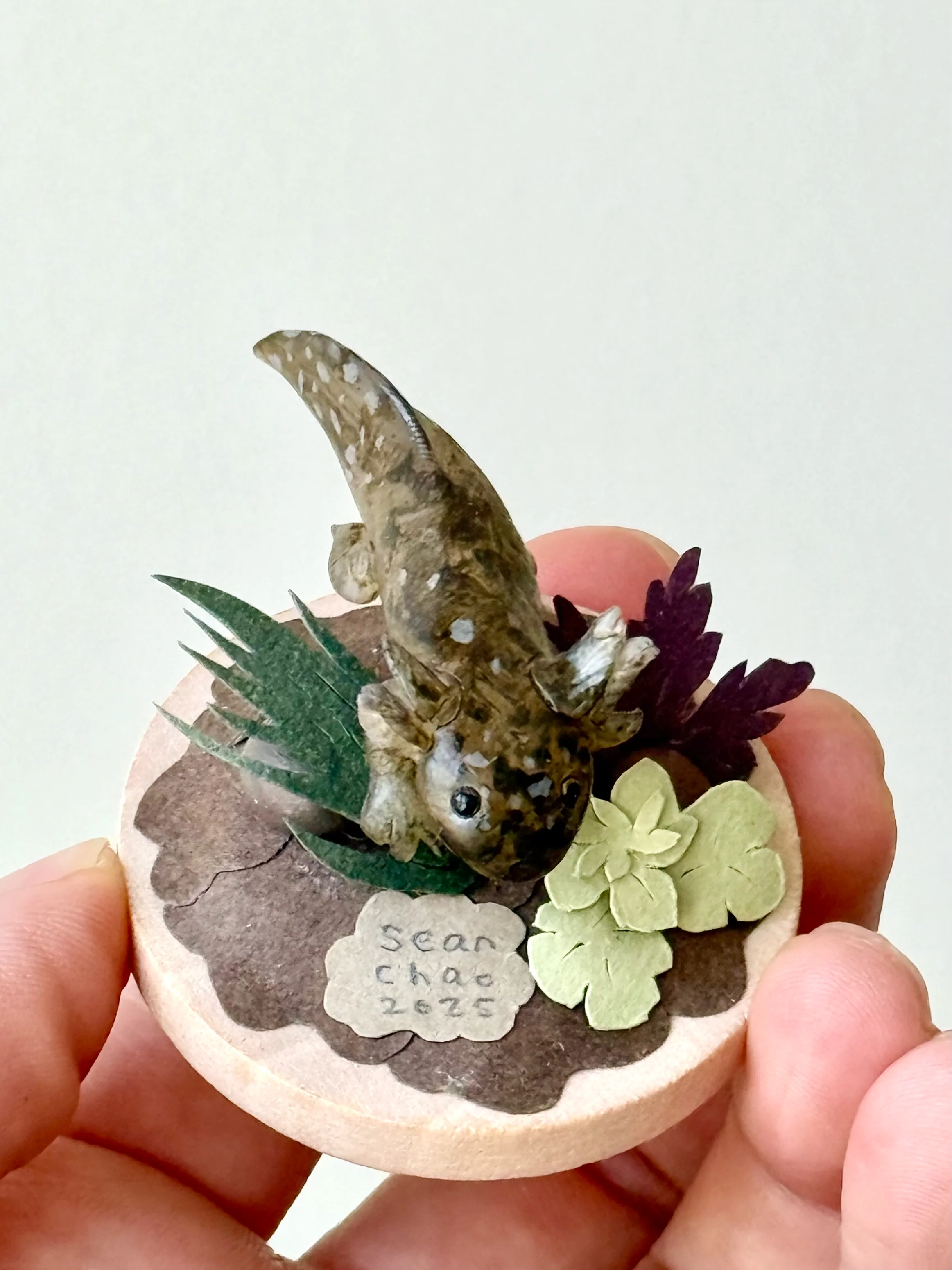 Hello Again - #54 - Sean Chao - "Axolotl 03" - Image 3