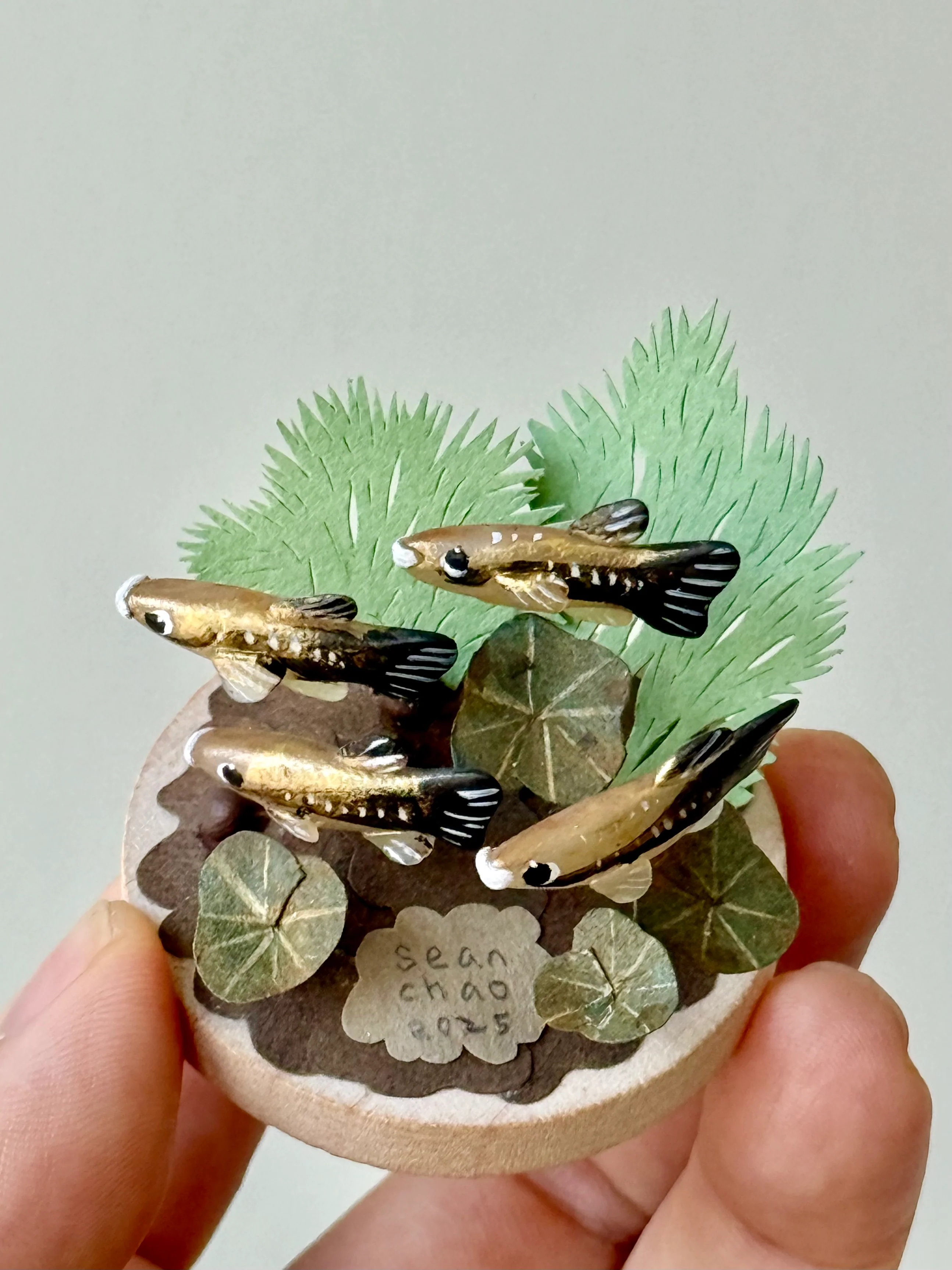 Hello Again - #76 - Sean Chao - "School of Fish 05" - Image 2