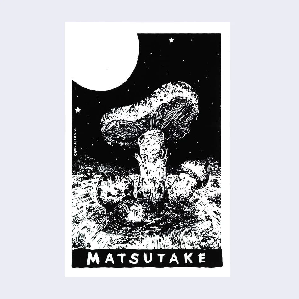 Matsutake Mushroom Sticker
