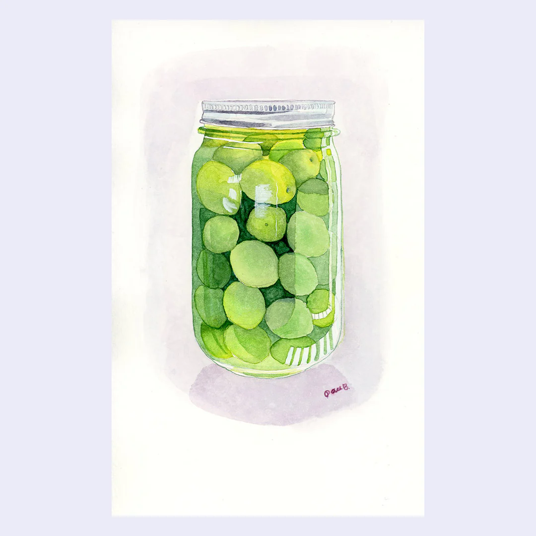 Mintea Challenge - Paulina Beltrán - "Something From Life"