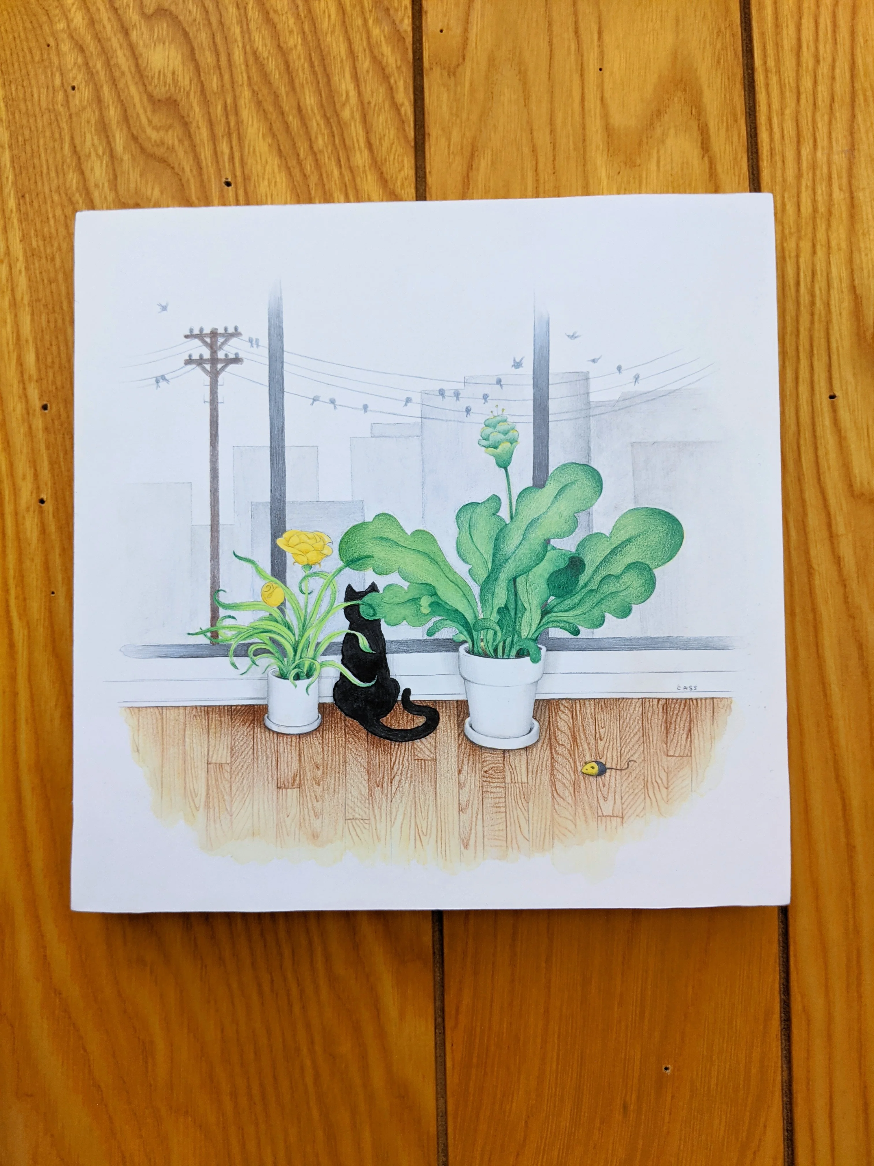 Chromatic Reverb - #44 - Cassia Lupo - "Window Cat" - Image 2