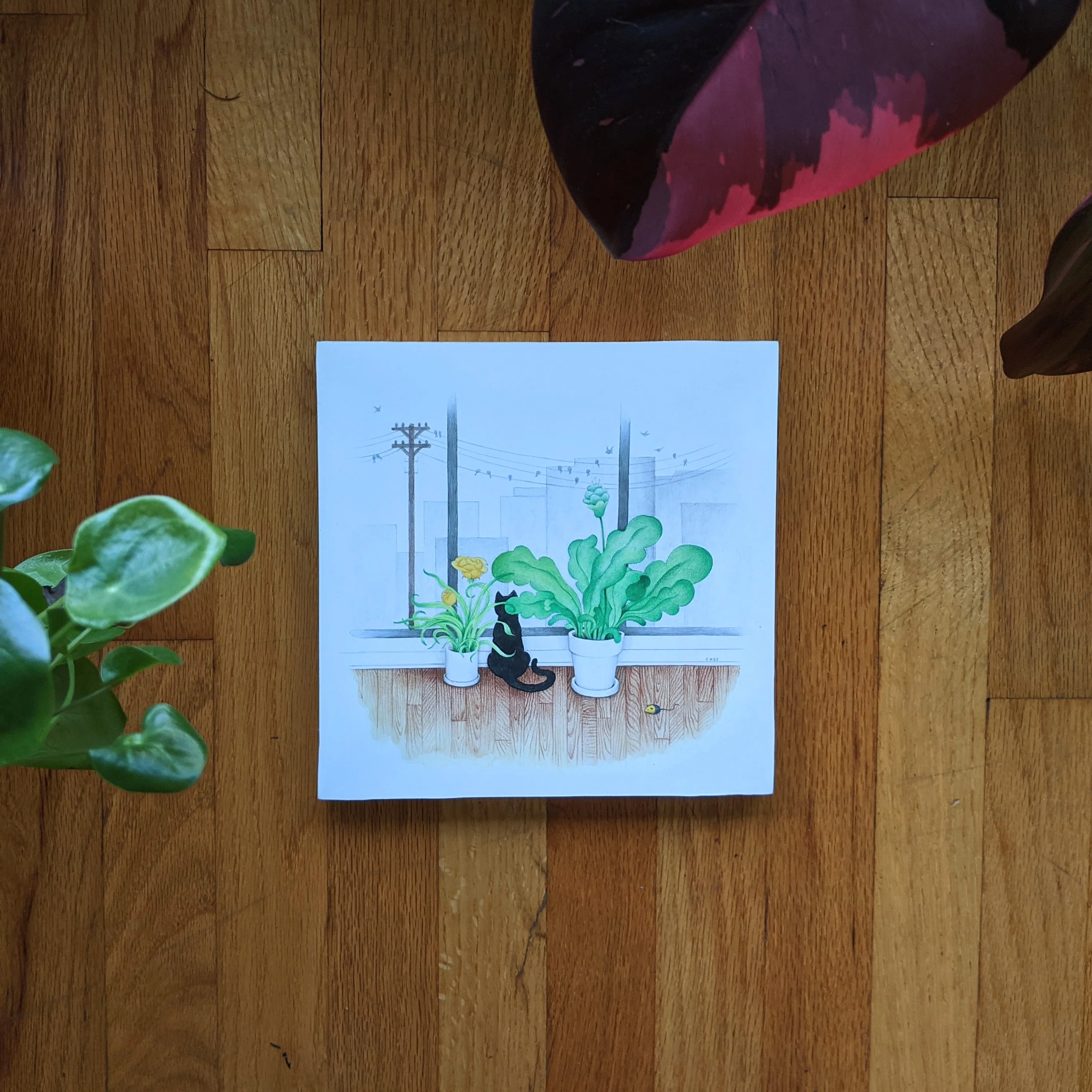 Chromatic Reverb - #44 - Cassia Lupo - "Window Cat" - Image 3