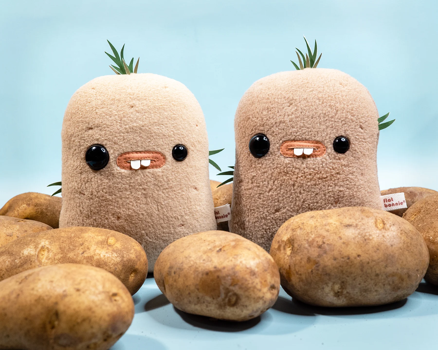 Plants and Flowers Show - Flat Bonnie - "Po’ & Tato - Po' (Darker Color)" - Image 2