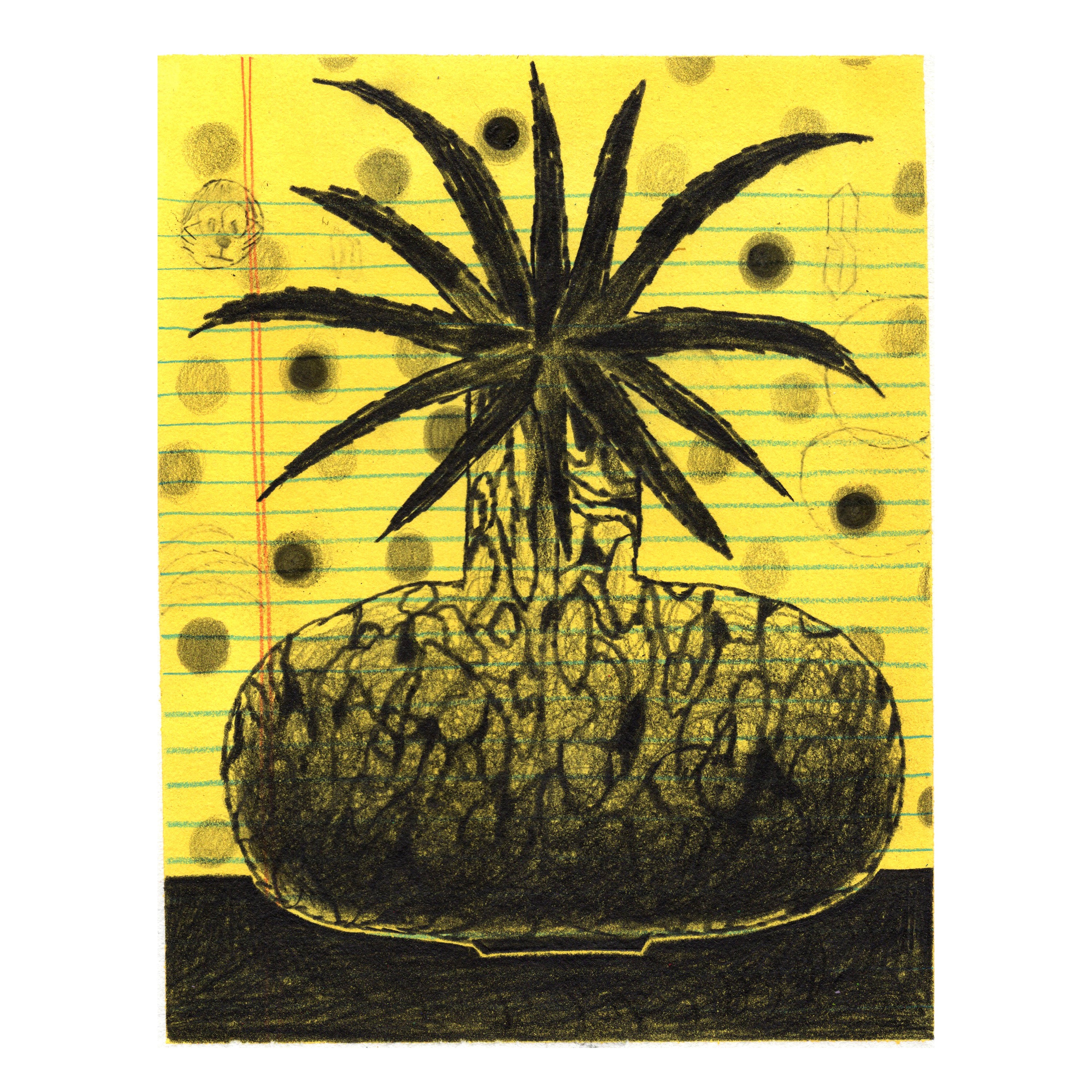 Chromatic Reverb - #114 - Christian Leon Guerrero - “Plant Study"