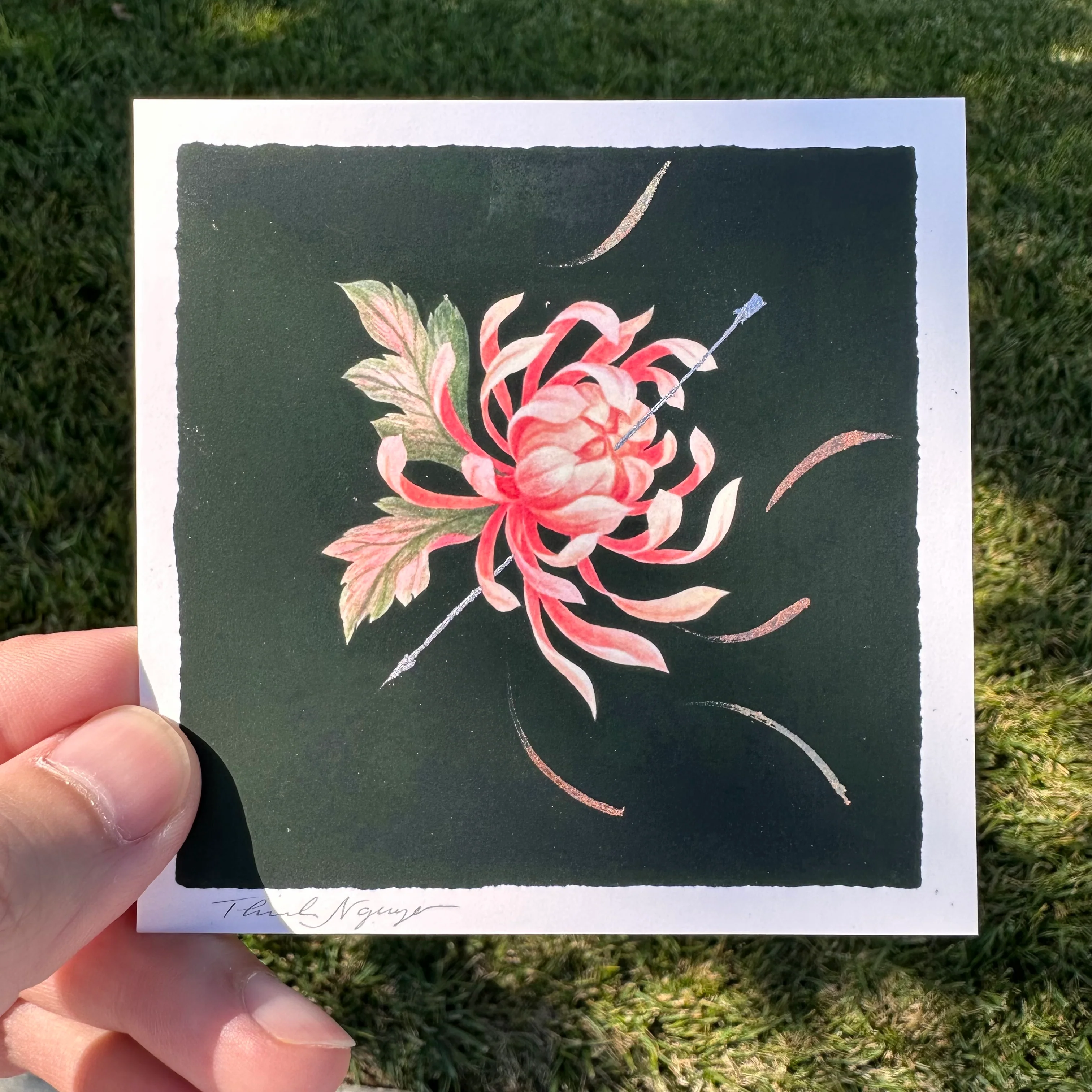 Plants & Flowers Show 2023 - Thinh Nguyen - "Scattered Truths" - Image 2