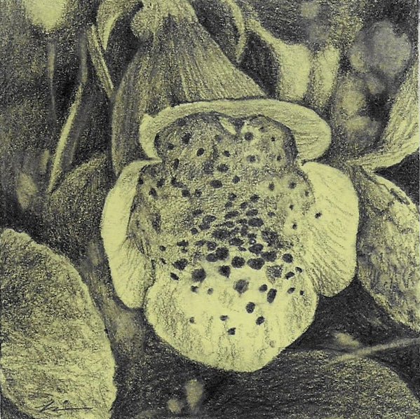 Post-it Show 2020 - Louise Jones - (Piece has not arrived) - "Foxglove" - Image 2