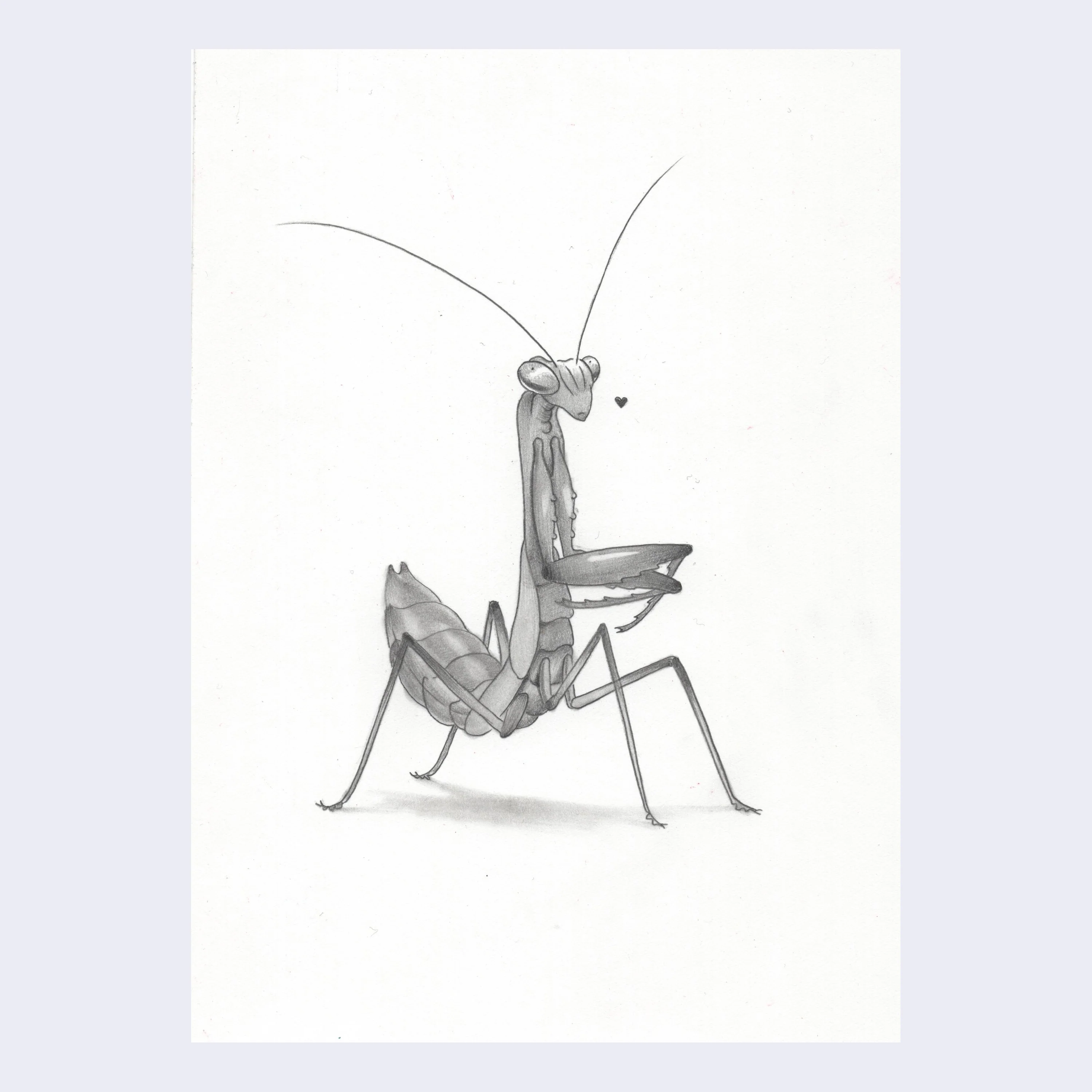 Rakugaki 3 - Cassia Lupo - #312 - "Mantis Buddy"