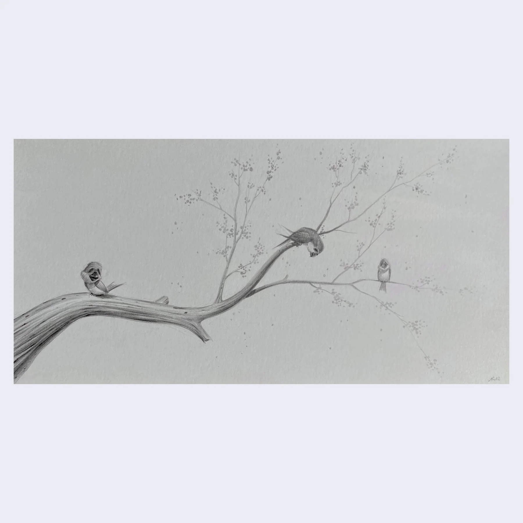 Rakugaki 4 - Nathan Ota - "No. 5"