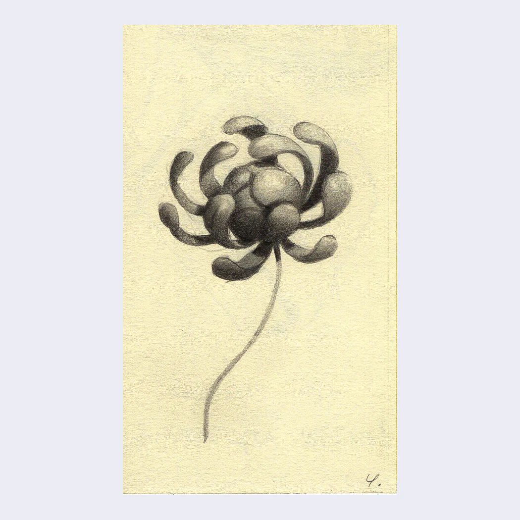Rakugaki 4 - Yumi Yamazaki - "An Inkling"