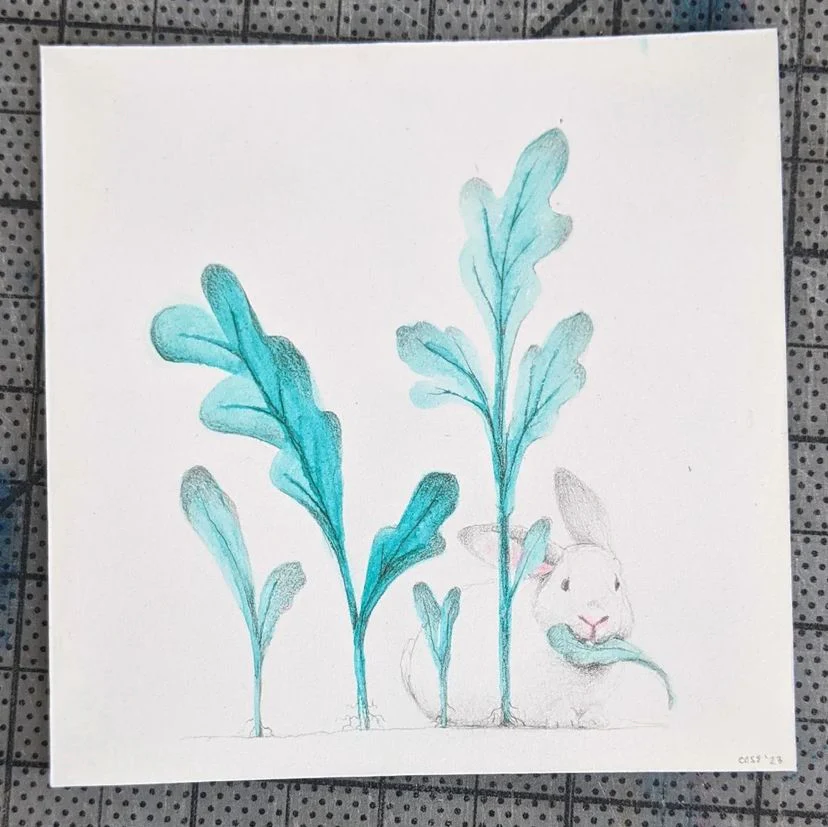 Rakugaki 5 (2023) - Cassia Lupo - "Munching Bunny"