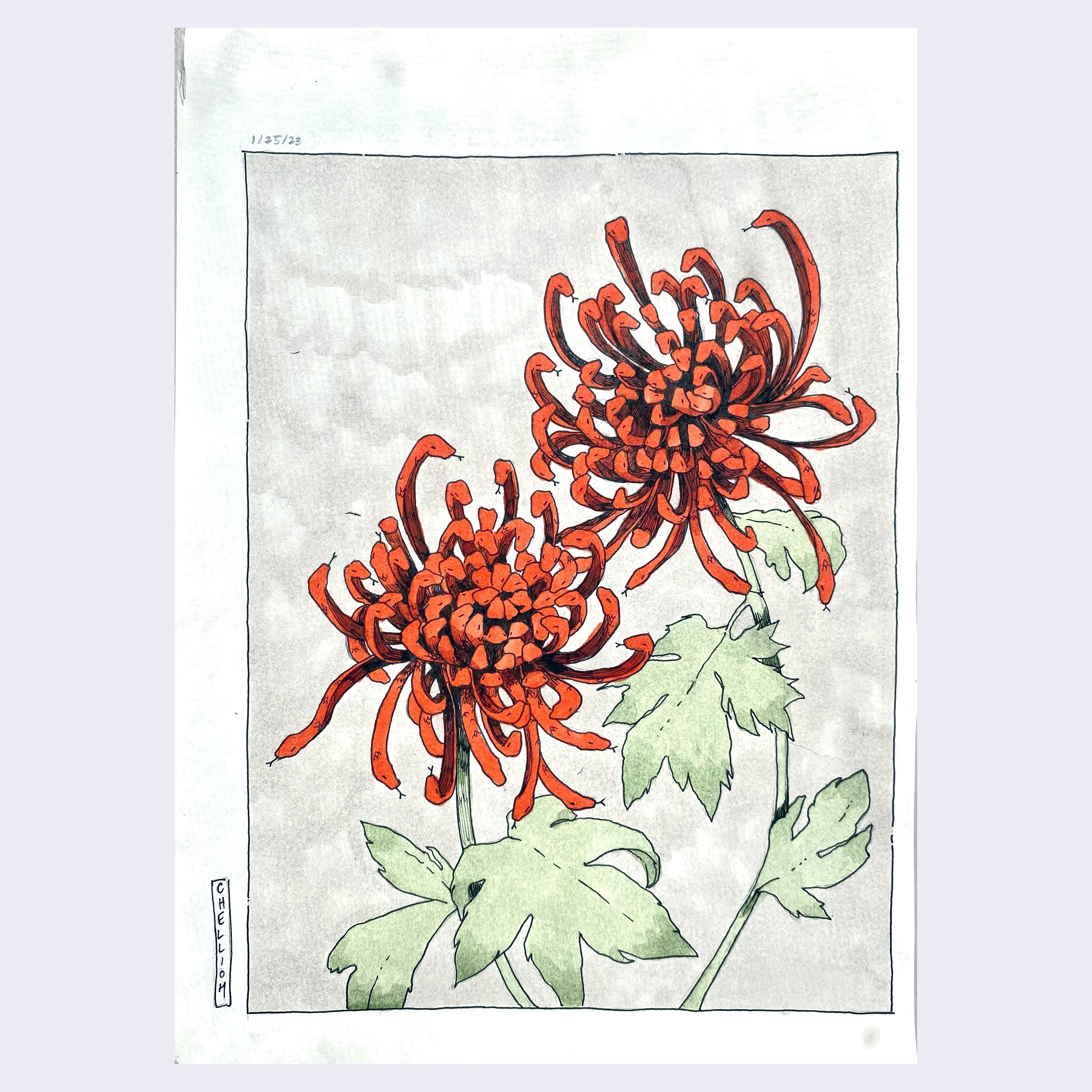 Rakugaki 5 (2023) - Chellioh - "Hissanthemums"