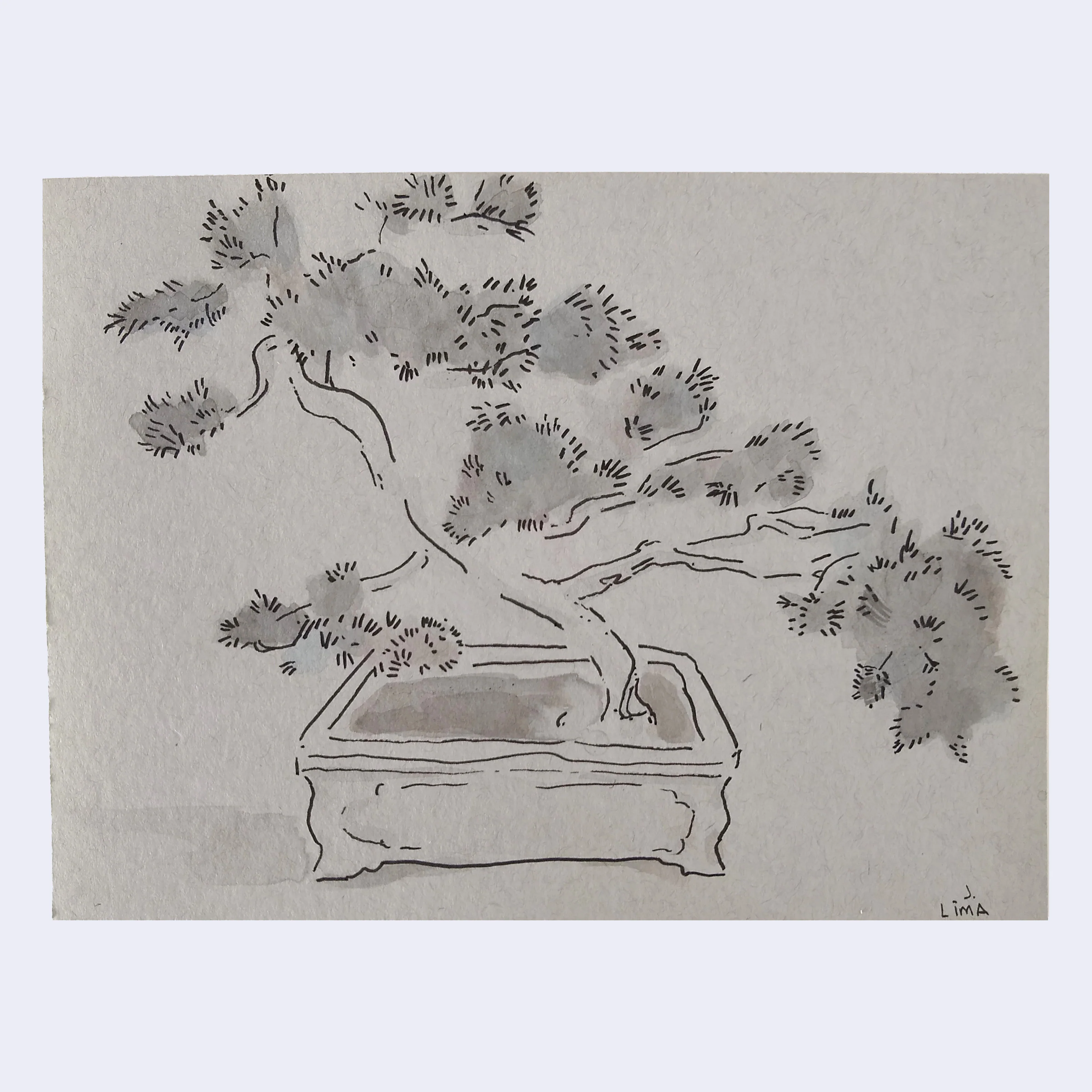 Rakugaki 6 (2024) - Jenn Lima - "Bonsai"