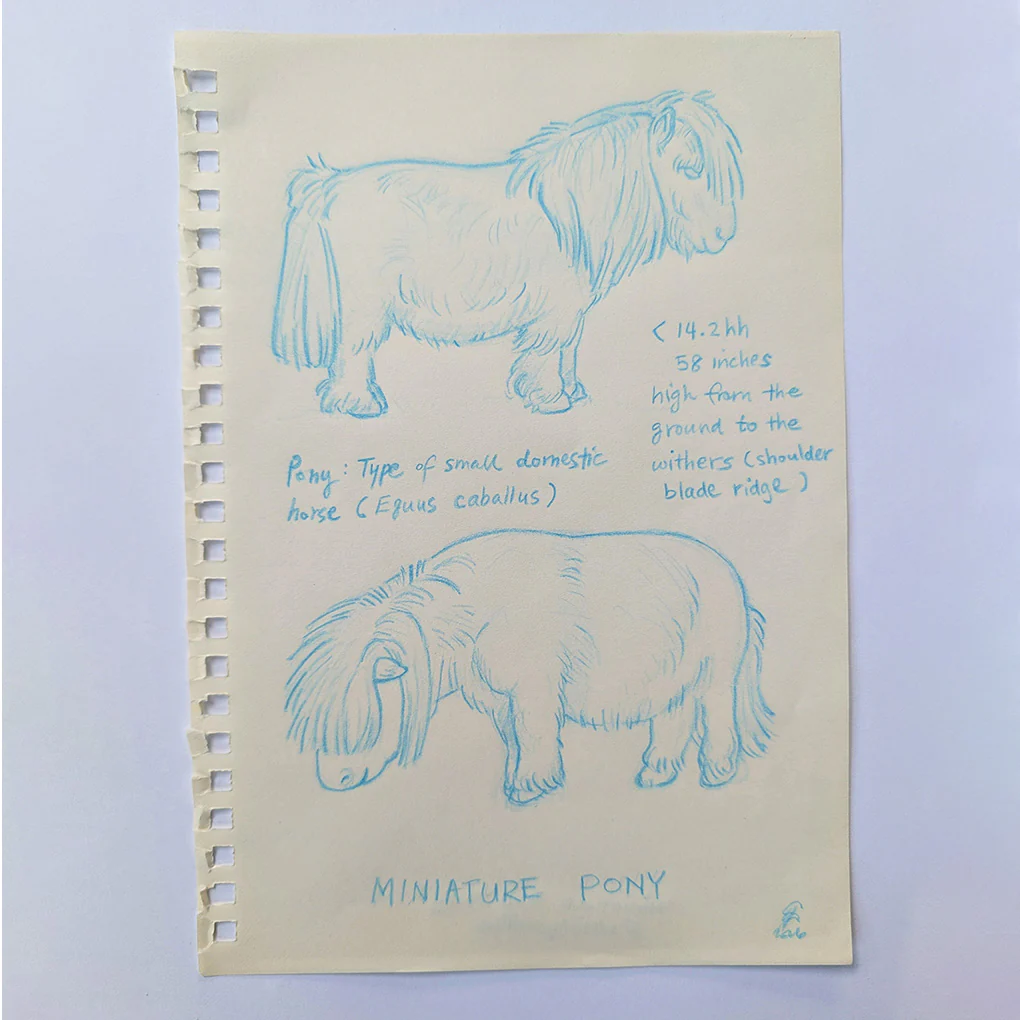 Rakugaki 8 (2026) - allthingswillbe - "Miniature Pony Study"