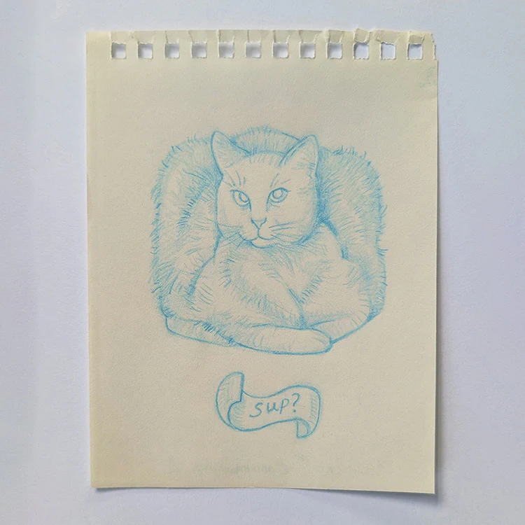 Rakugaki 8 (2026) - allthingswillbe - "Sup Cat"