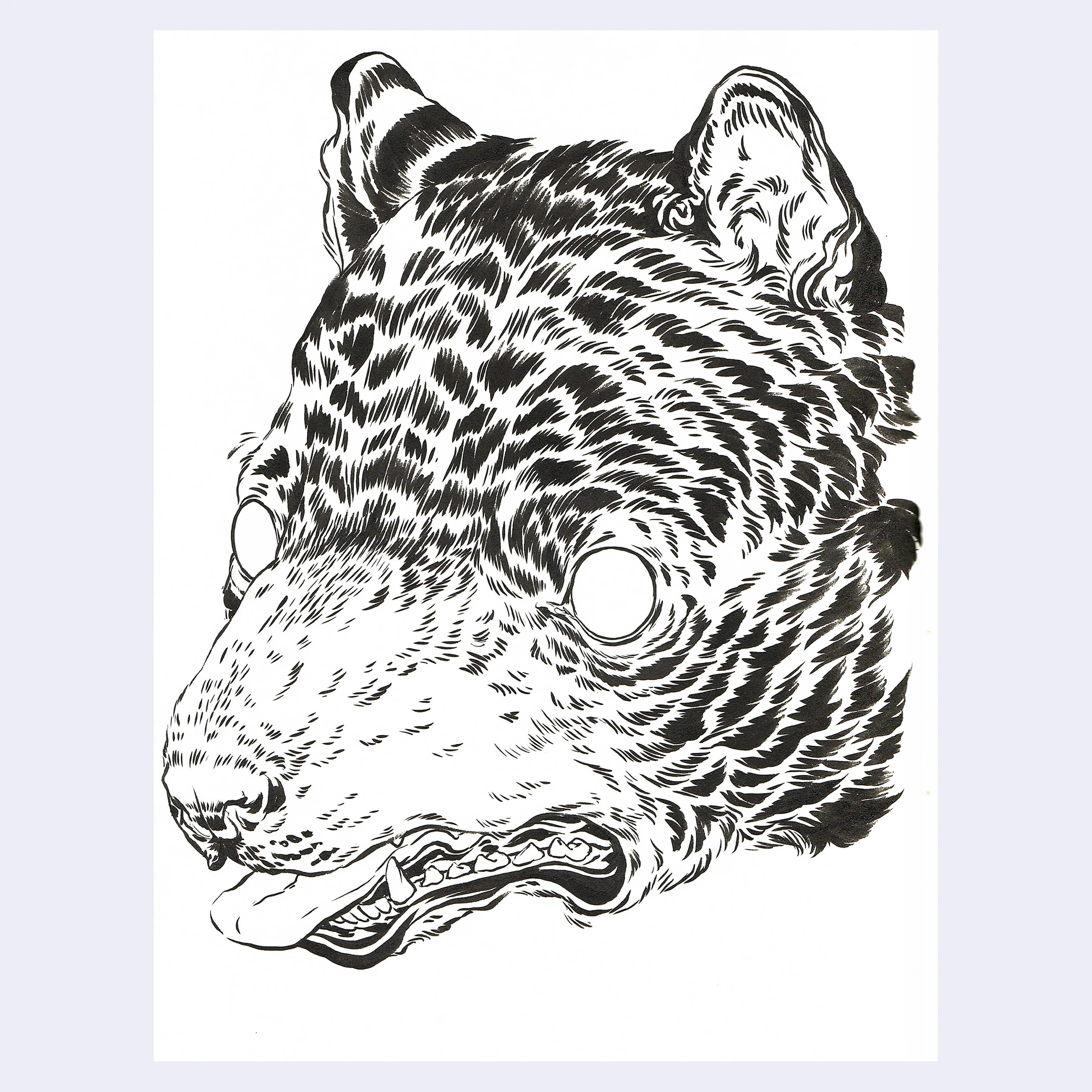 Rakugaki 8 (2026) - Caitlin Canchola - "Black Bear"