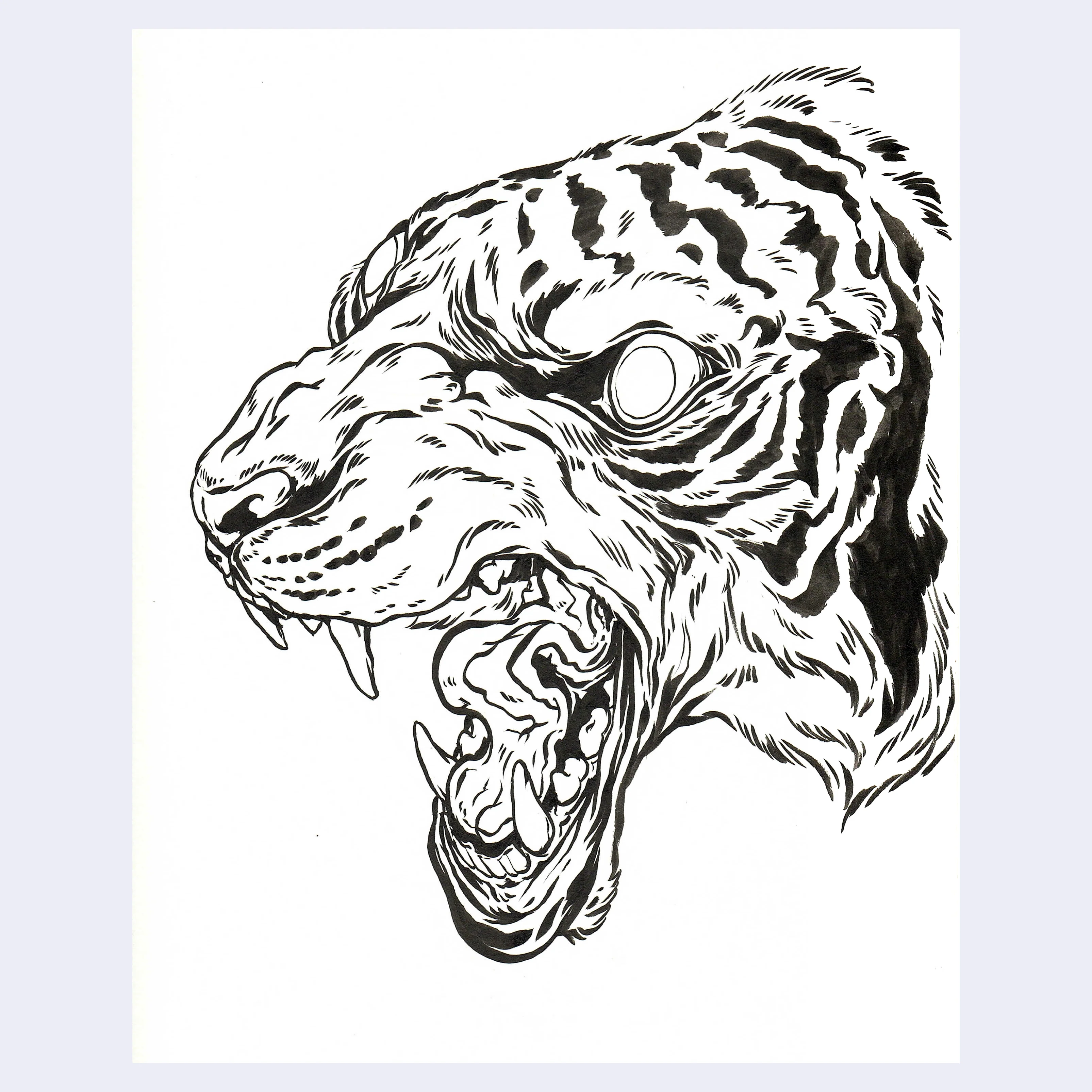 Rakugaki 8 (2026) - Caitlin Canchola - "Earless Tiger"