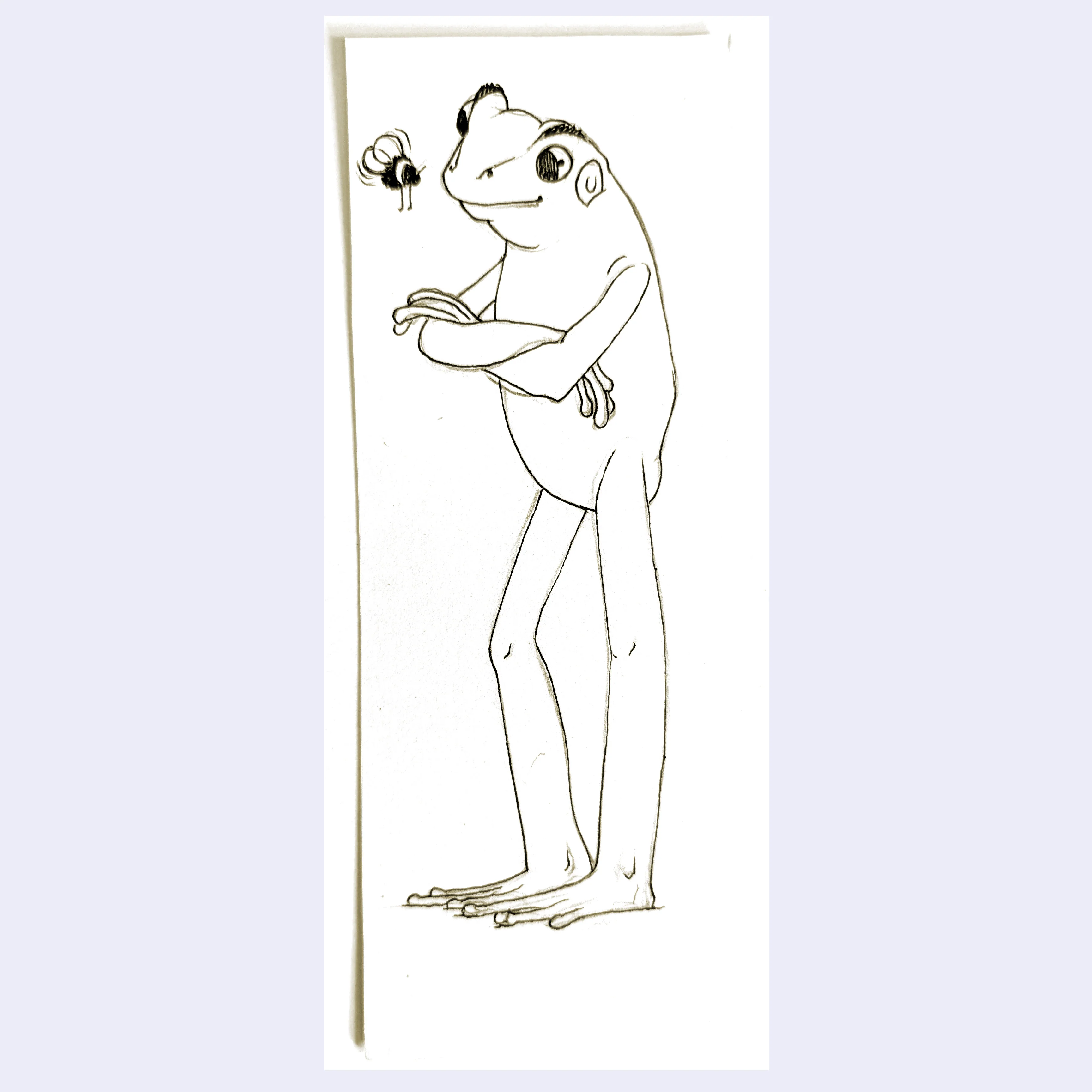 Rakugaki 8 (2026) - Cassia Lupo - "Frog and Fly 01"