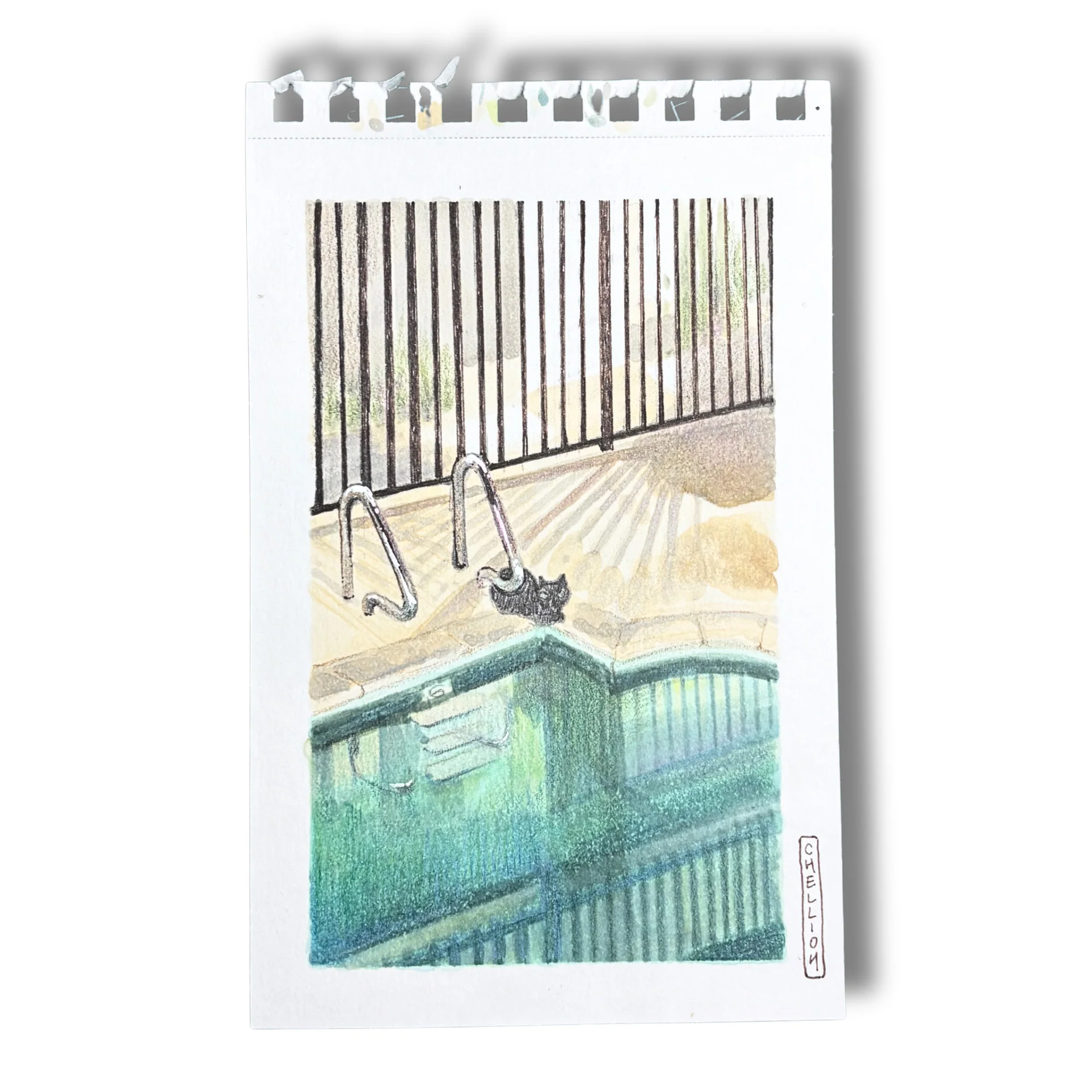 Rakugaki 8 (2026) - Chellioh - "Pool Cat"