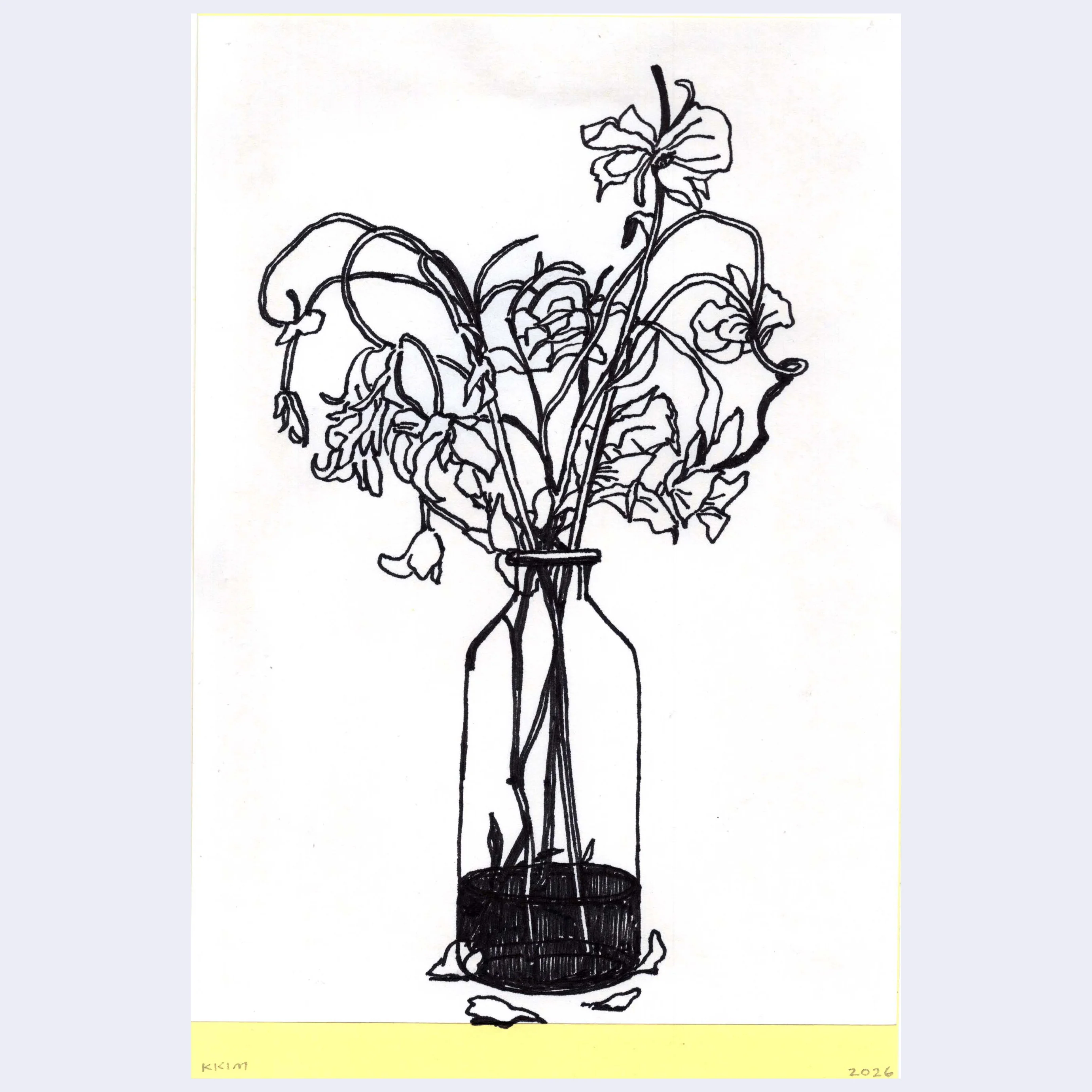Rakugaki 8 (2026) - Kaylynn Kim - "Flowers"