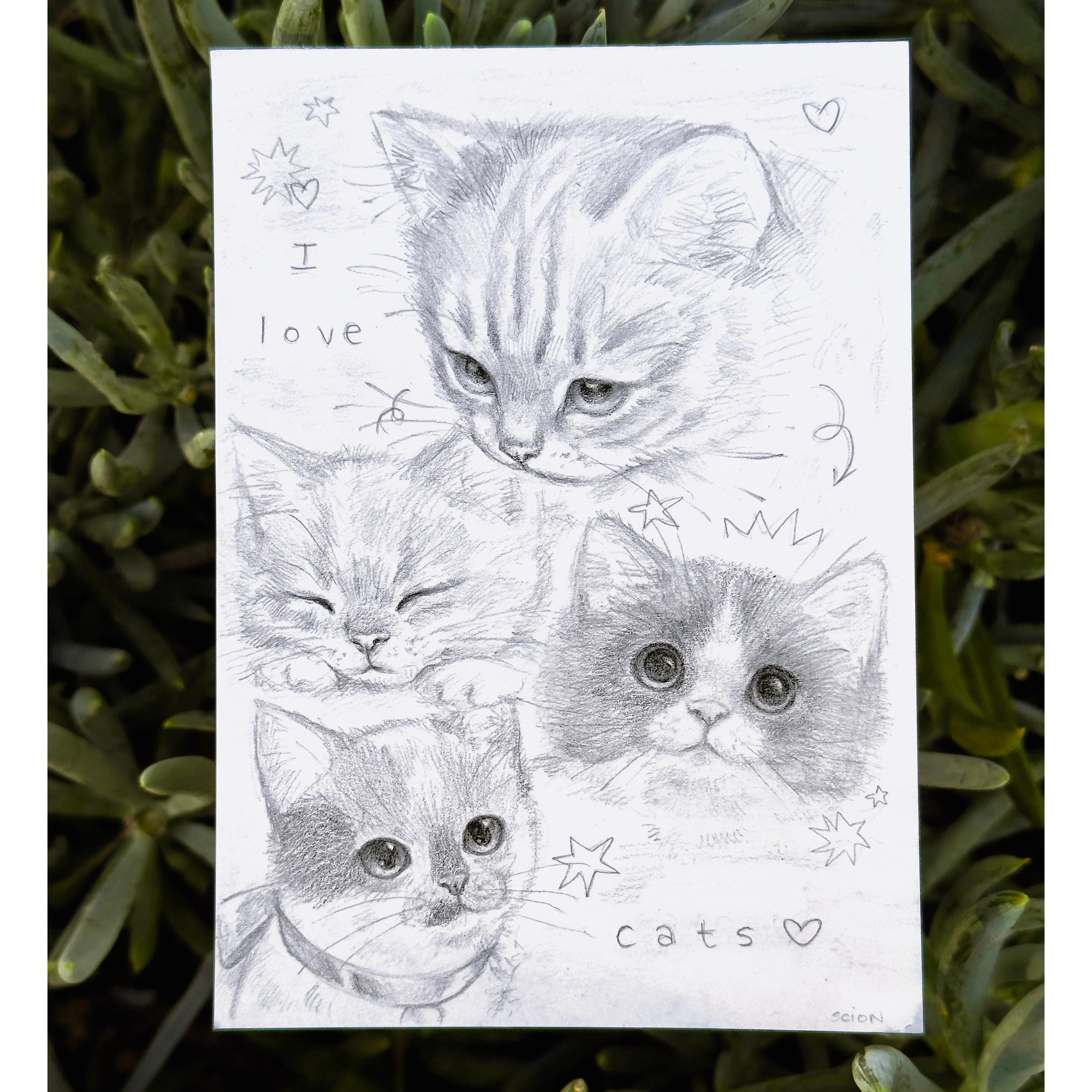 Rakugaki 8 (2026) - Scion Illustration - "I Love Cats"