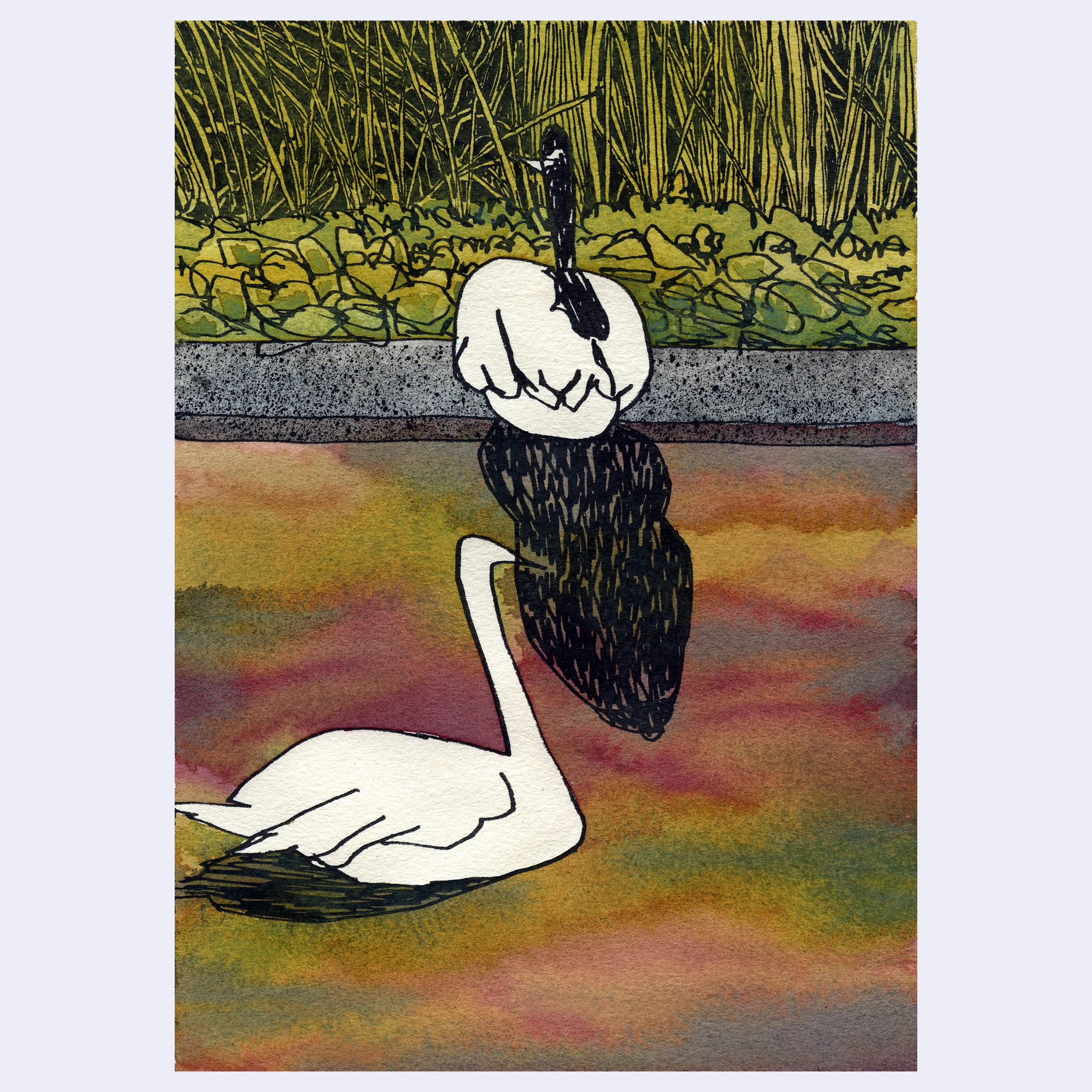 Sitting Outside III - #242 - Trevor Shin - "Echo Park Lake"
