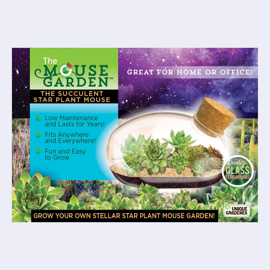 The Mouse Garden - The Succulent Star Plant Mouse Terrarium Kit