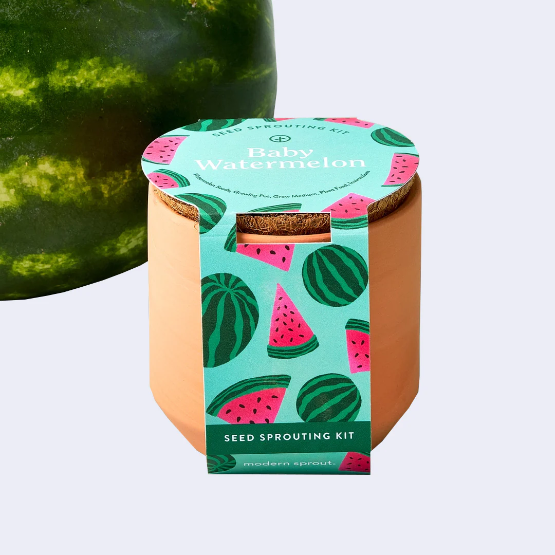 Tiny Terracotta Plant Kit - Baby Watermelon
