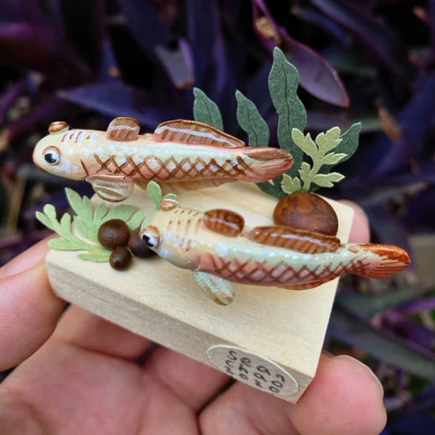 Underwater Show - Sean Chao - "Gobies" - Image 2