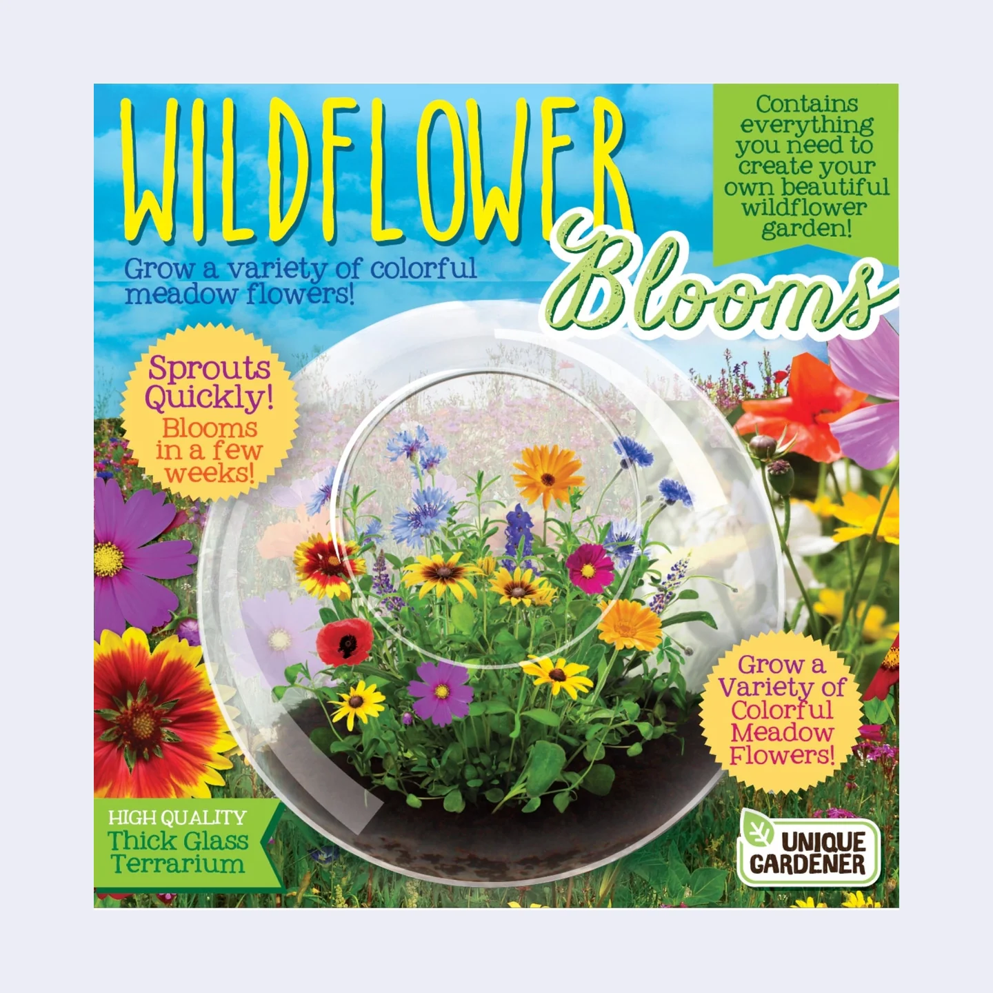 Wildflower Blooms - Glass Terrarium Kit