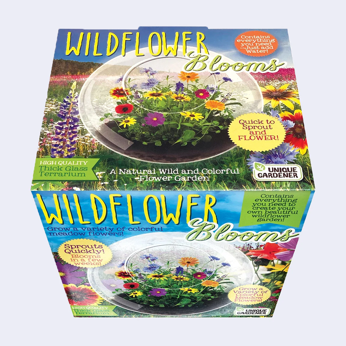 Wildflower Blooms - Glass Terrarium Kit - Image 3